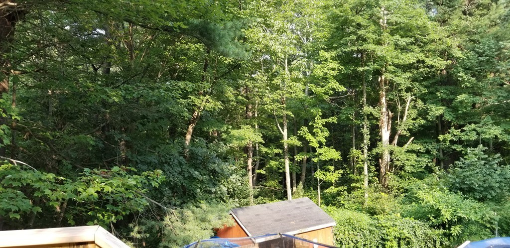 84 Paxton Road Spencer, MA 01562 - Photo 22 of 23 Gallery Image 22