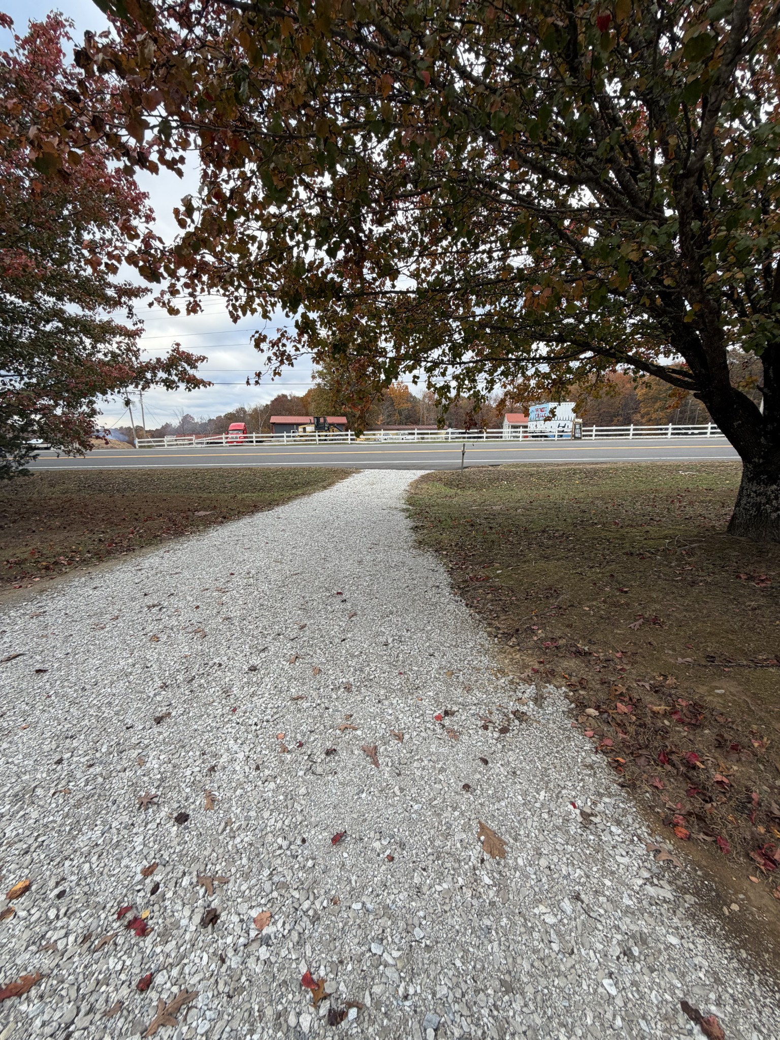 2749 Highway 47 White Bluff, TN 37187 - Photo 4 of 4 a view of dirt yard with large trees