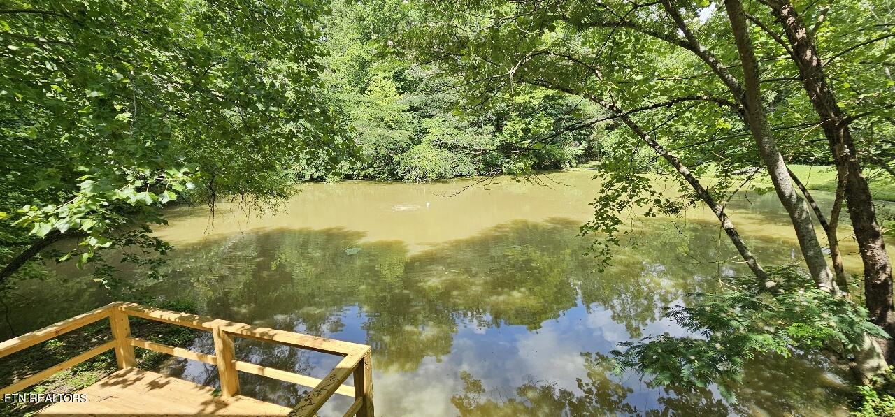 360 Front Street Luttrell, TN 37779 - Photo 36 of 53 fish off the deck