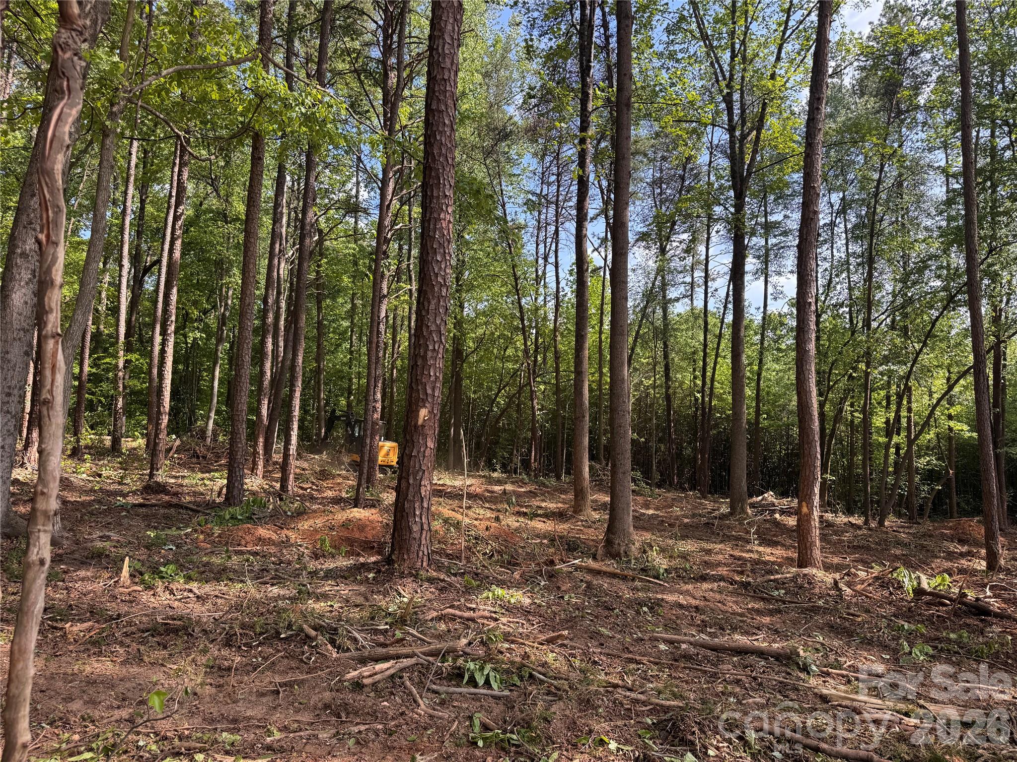 232 Fern Hill Road Troutman, NC 28166 - Photo 2 of 2
