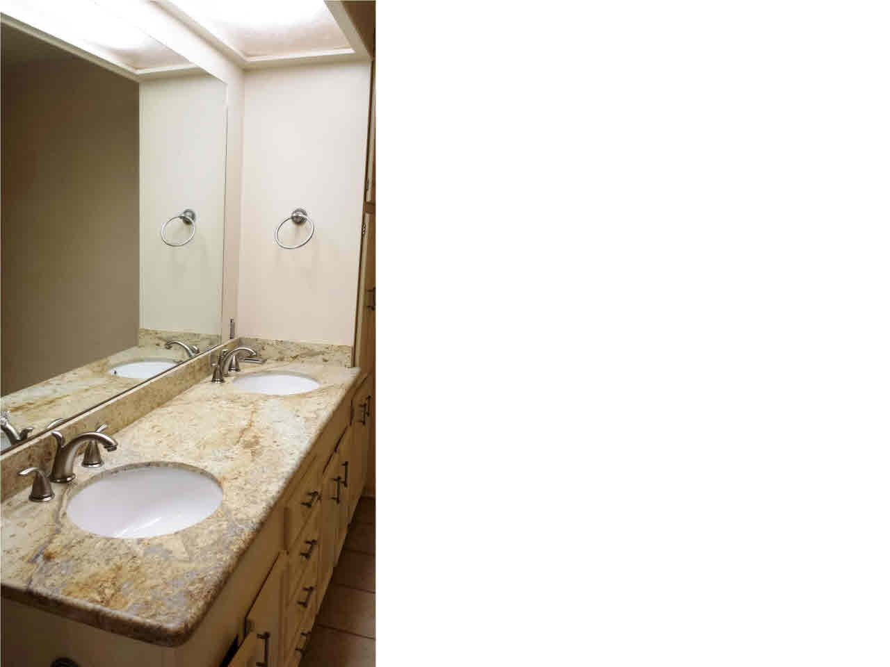 361 Clarkdell Road Canton, MS 39046 - Photo 18 of 33 New granite counters in master bath