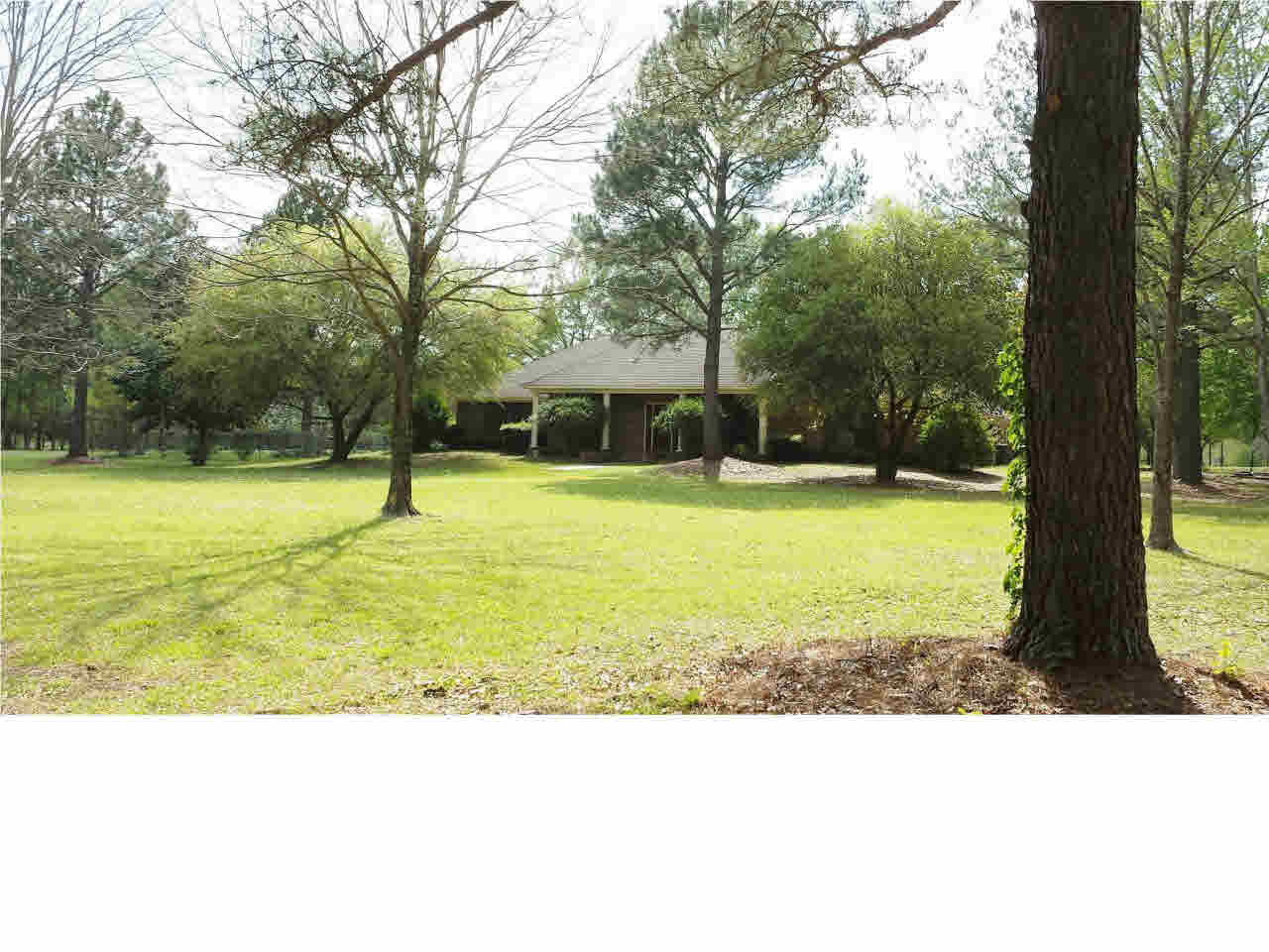 361 Clarkdell Road Canton, MS 39046 - Photo 3 of 33 Front acreage