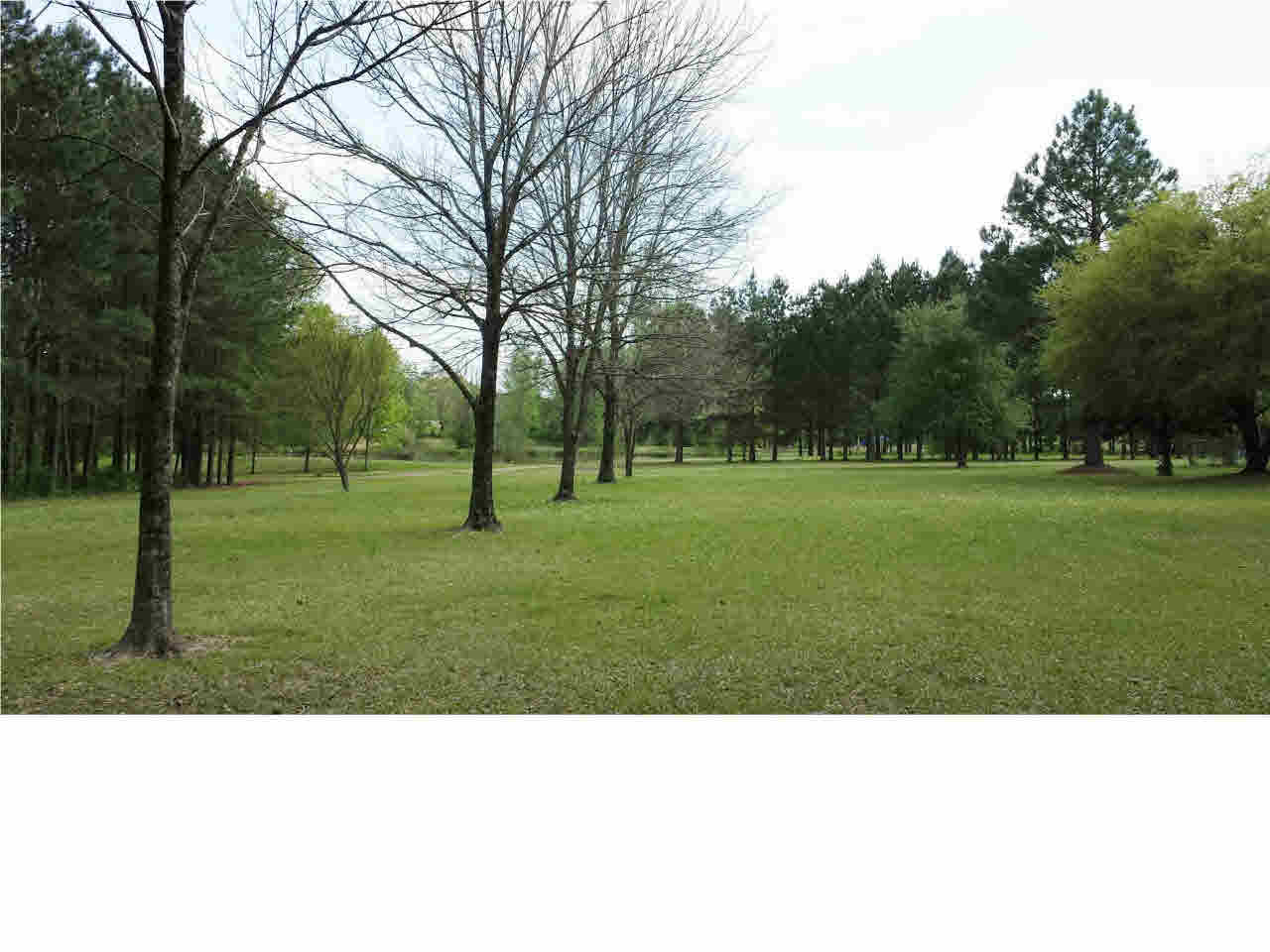 361 Clarkdell Road Canton, MS 39046 - Photo 4 of 33 Front acreage