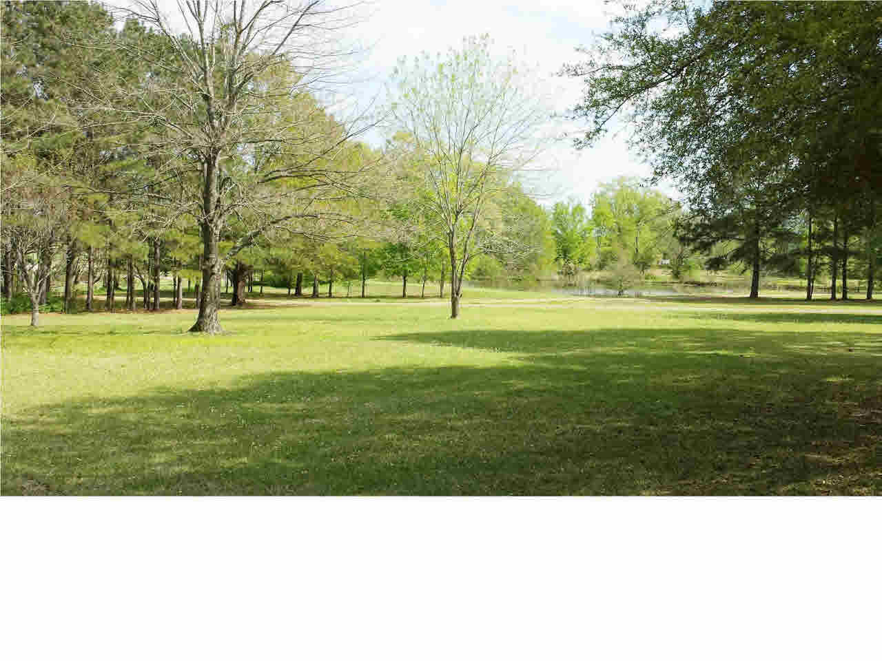361 Clarkdell Road Canton, MS 39046 - Photo 5 of 33 Front acreage