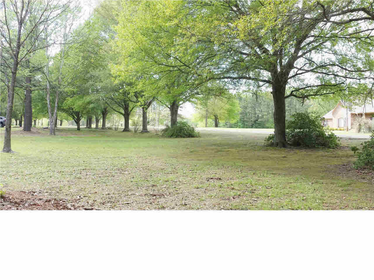 361 Clarkdell Road Canton, MS 39046 - Photo 6 of 33 Front acreage