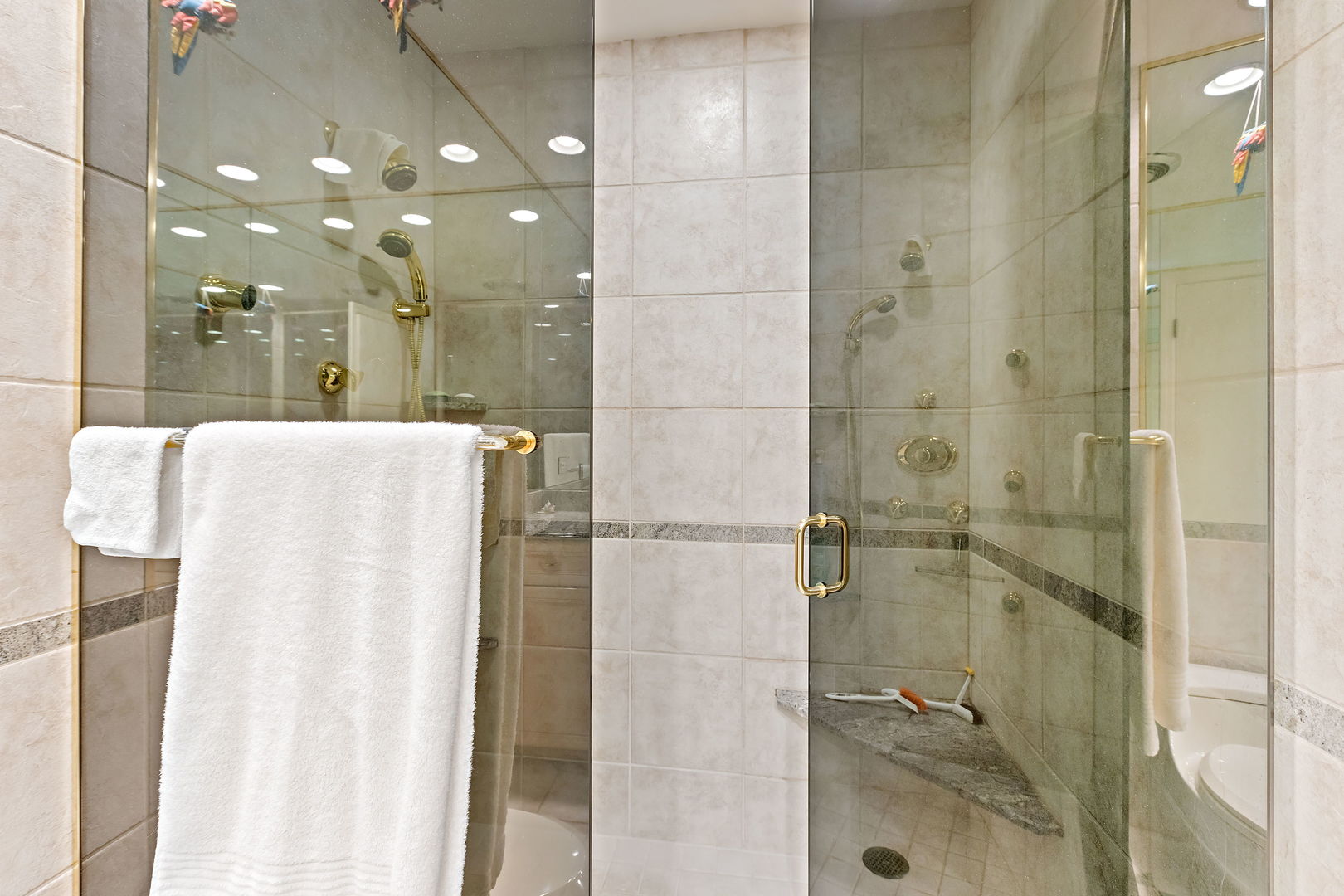 1369 Tower Road Winnetka, IL 60093 - Photo 18 of 31 a bathroom with a shower and a mirror