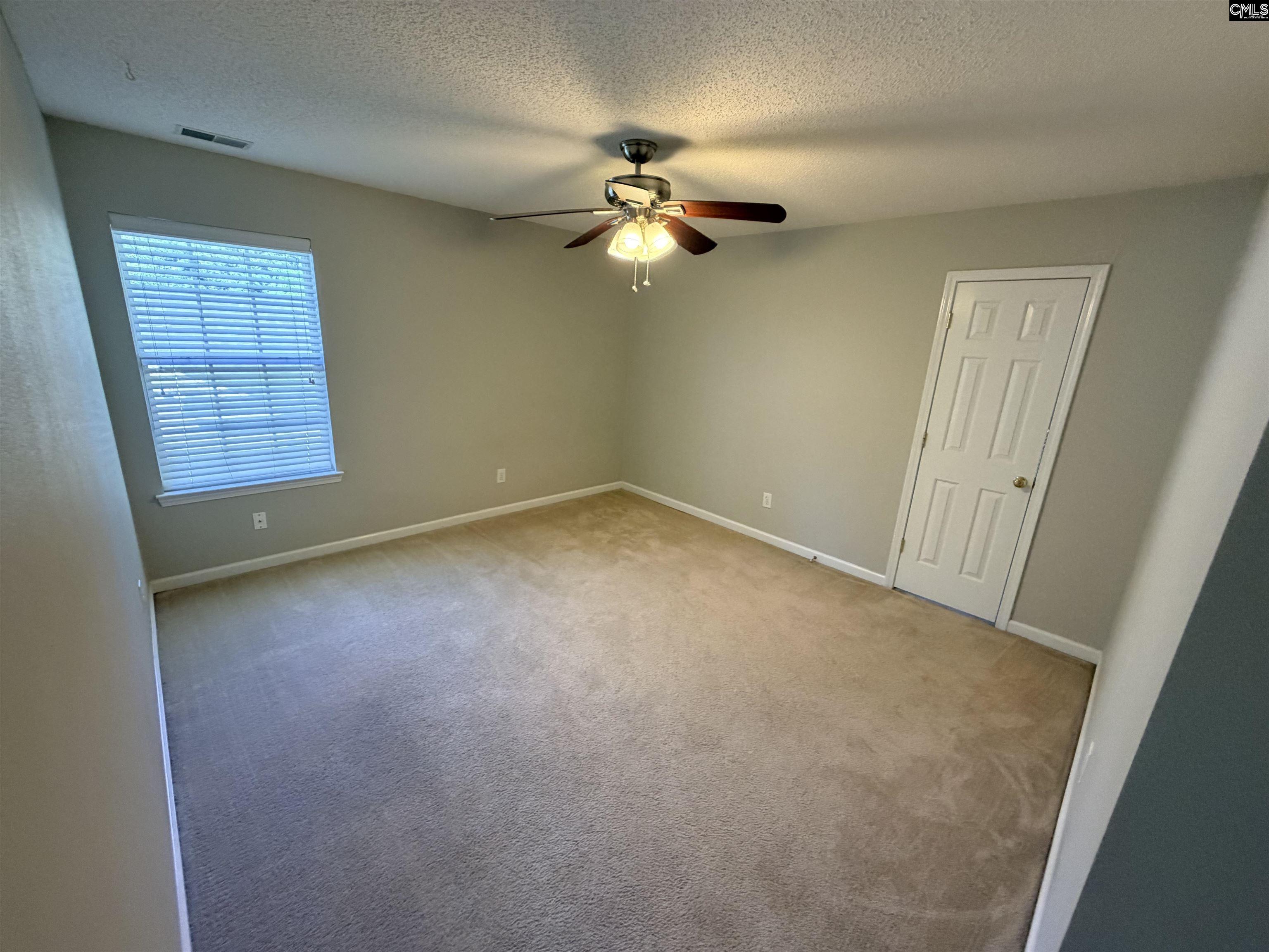 5 Redbrush Court Chapin, SC 29036 - Photo 18 of 36