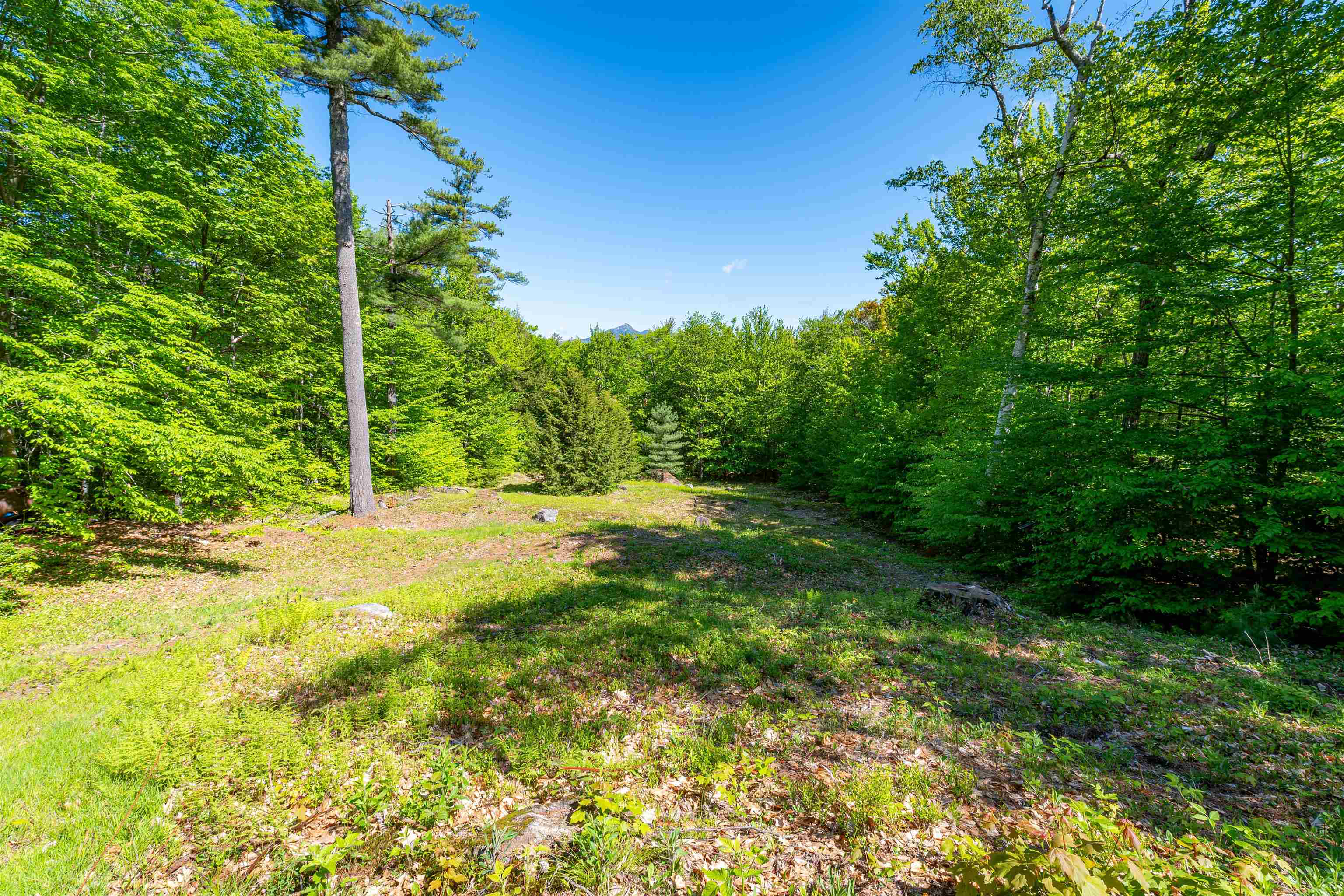 673 Page Hill Road Tamworth, NH 03817 - Photo 55 of 56