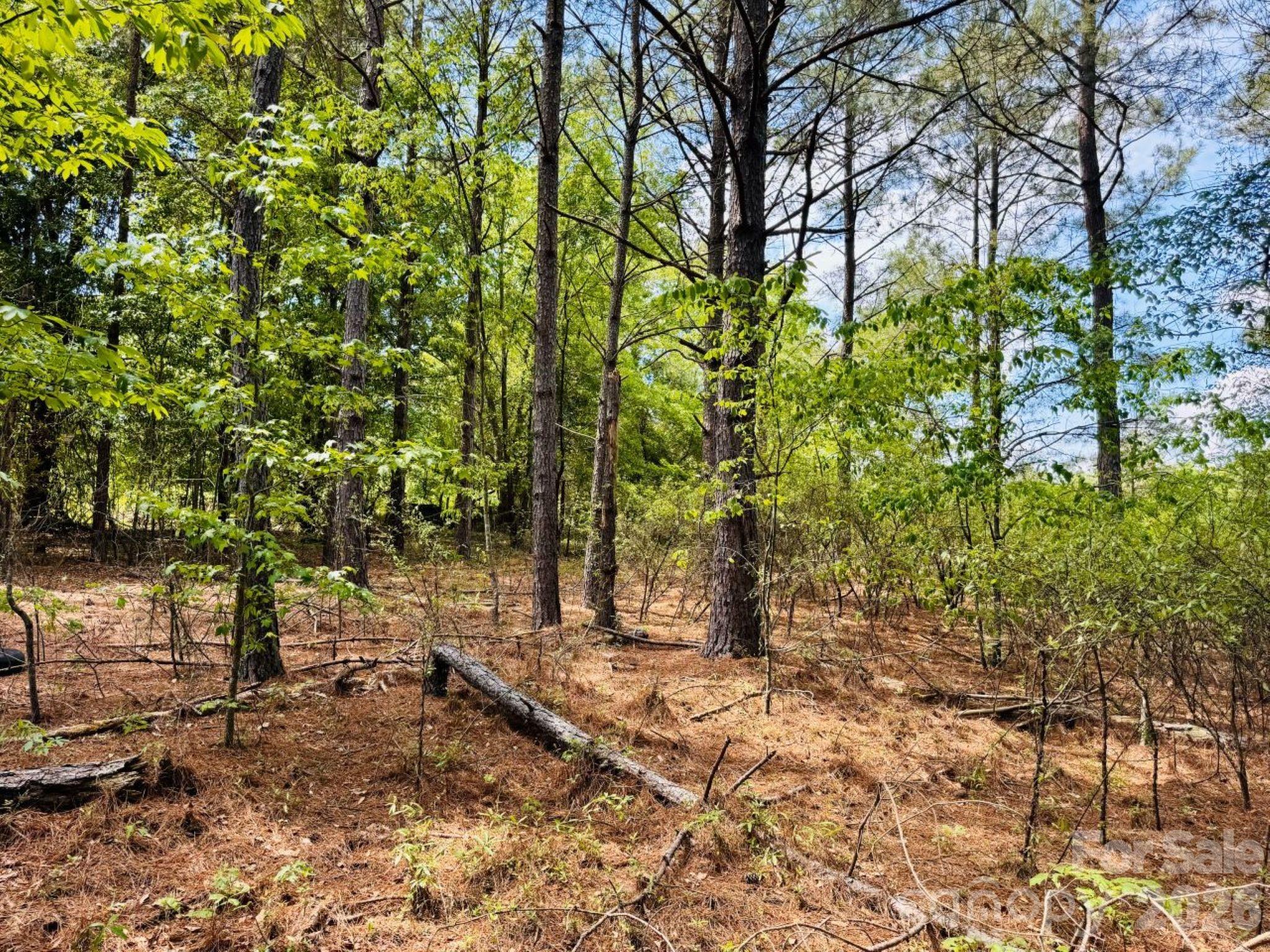 385 Elbert Baskins Road Cheraw, SC 29520 - Photo 10 of 11 Gallery Image 10