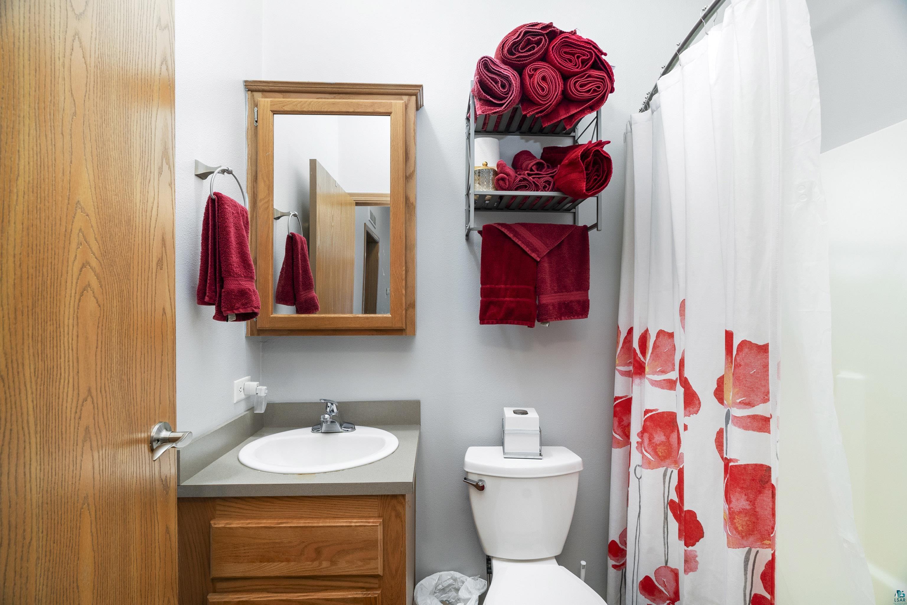 5144 Olson Road Rice Lake, MN 55803 - Photo 18 of 29 Bathroom with vanity and toilet