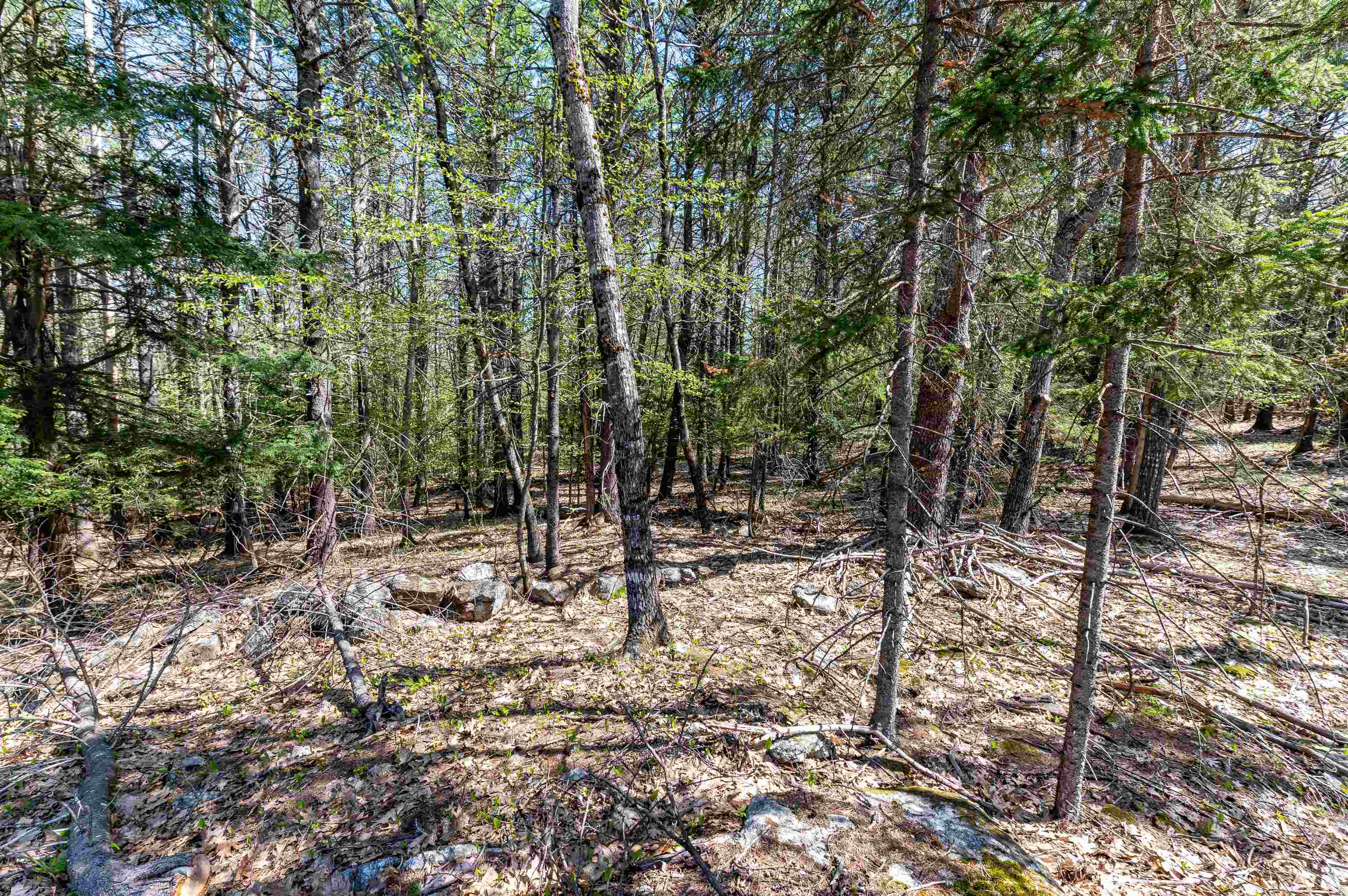 Durgin Hill Road, Unit 27 Freedom, NH 03836 - Photo 17 of 19
