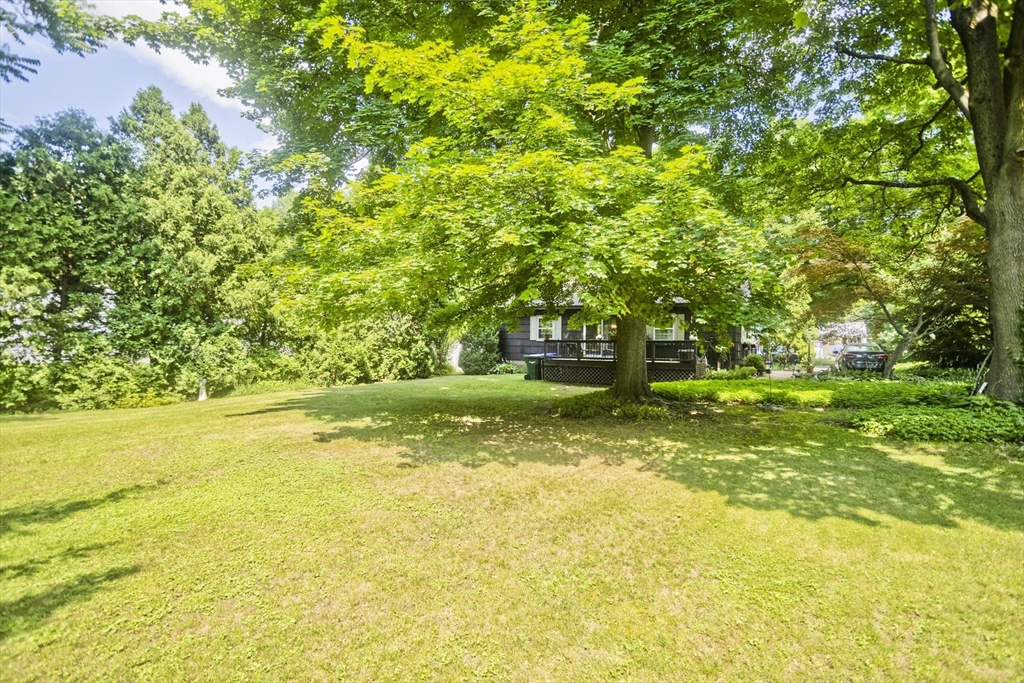 56 Santa Maria Street Springfield, MA 01104 - Photo 19 of 19