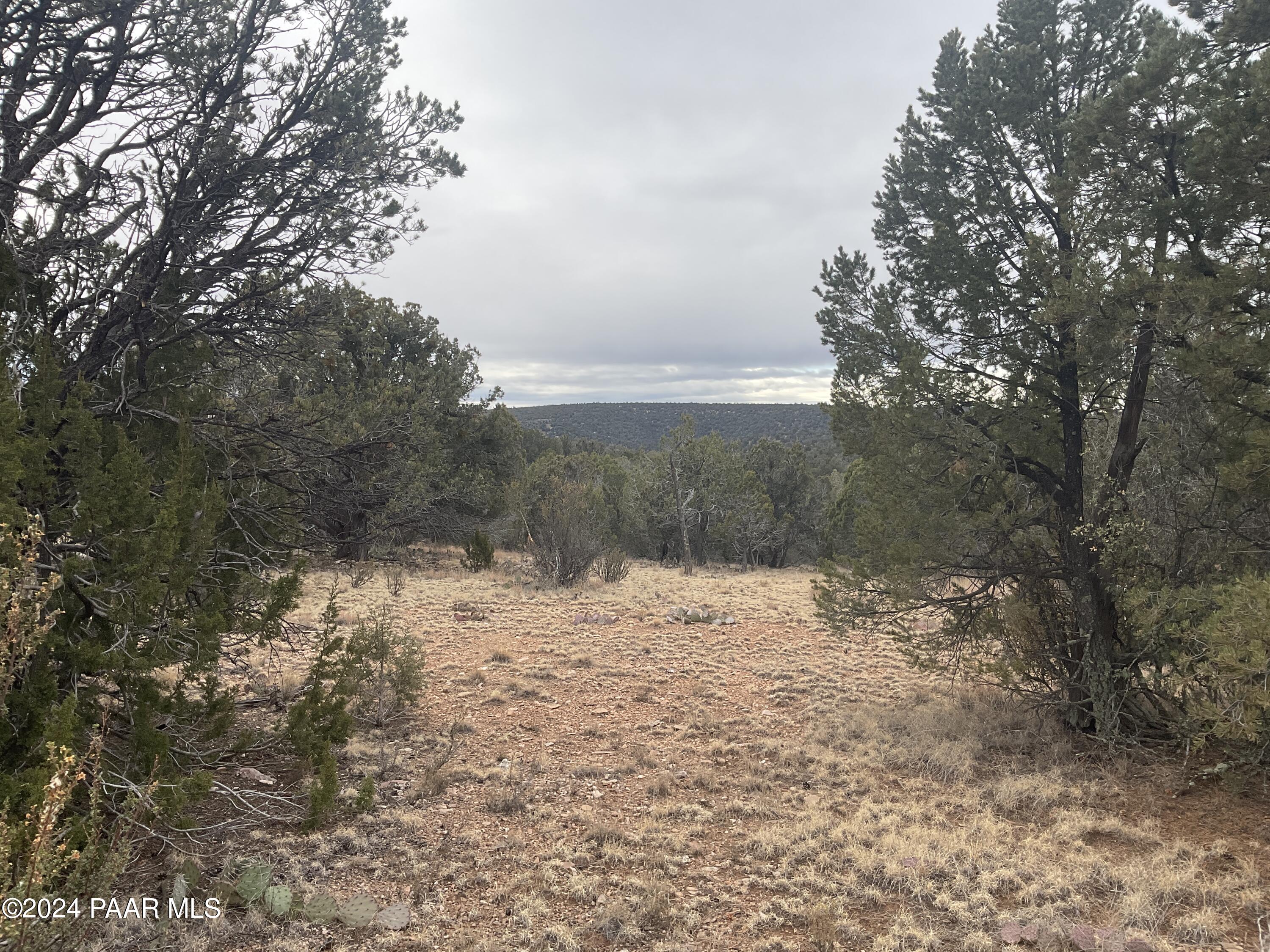 Lot 255 Ridge Runner Road Seligman, AZ 86337 - Photo 1 of 8 Many views