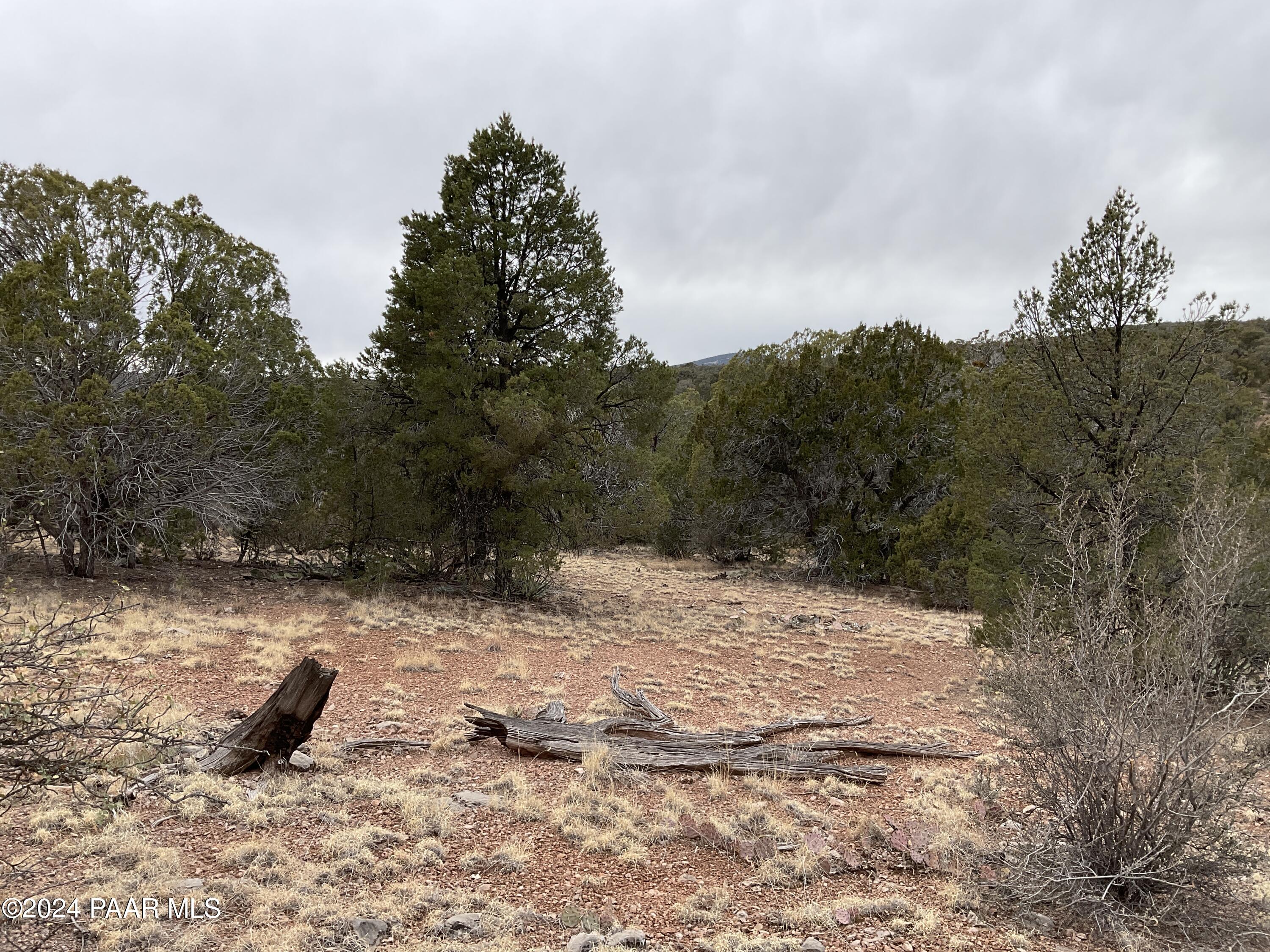 Lot 255 Ridge Runner Road Seligman, AZ 86337 - Photo 2 of 8 24048 b