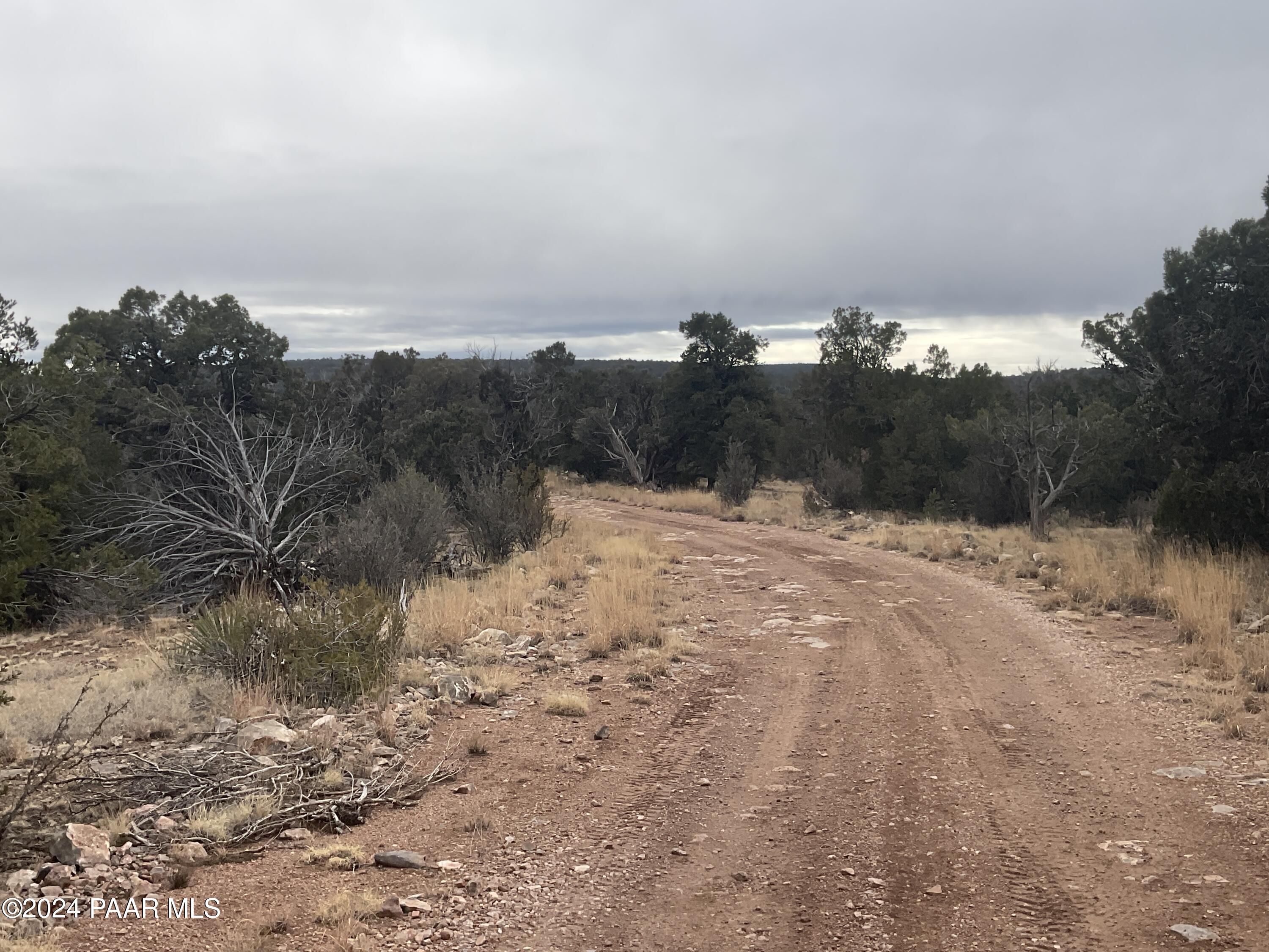 Lot 255 Ridge Runner Road Seligman, AZ 86337 - Photo 4 of 8 IMG_2228