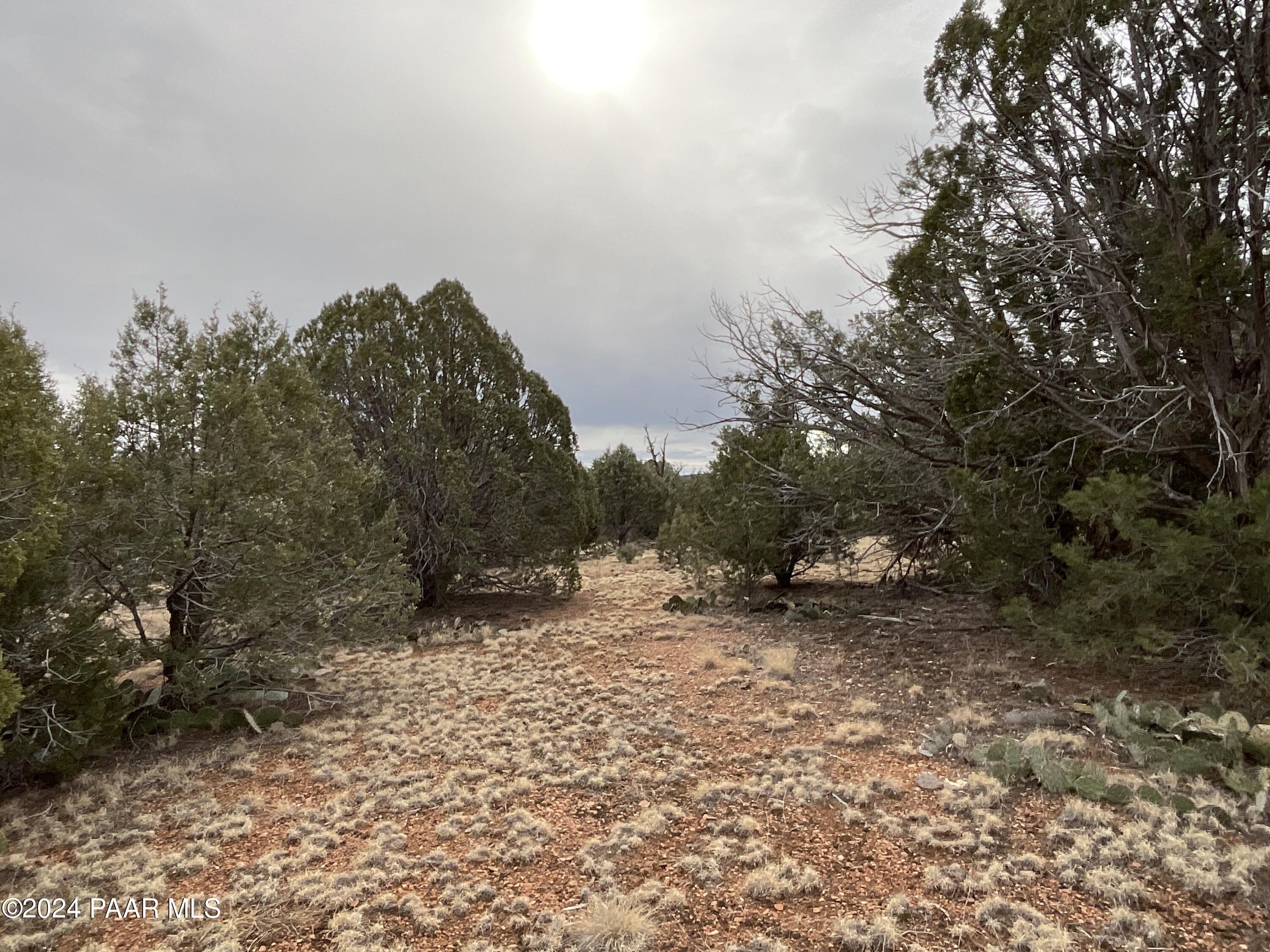 Lot 255 Ridge Runner Road Seligman, AZ 86337 - Photo 6 of 8 IMG_2235