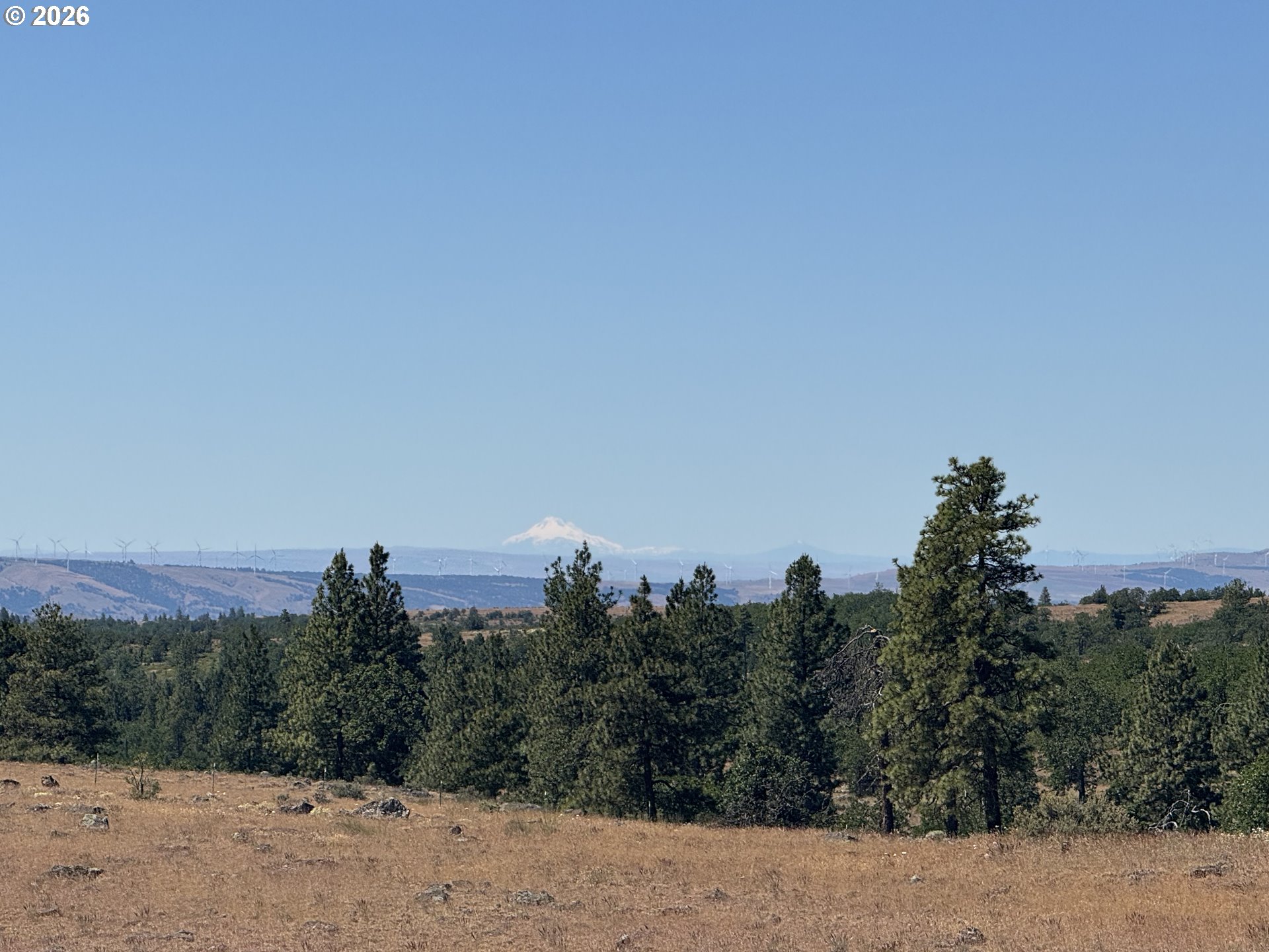 0 Bickleton Highway Bickleton, WA 99322 - Photo 11 of 15
