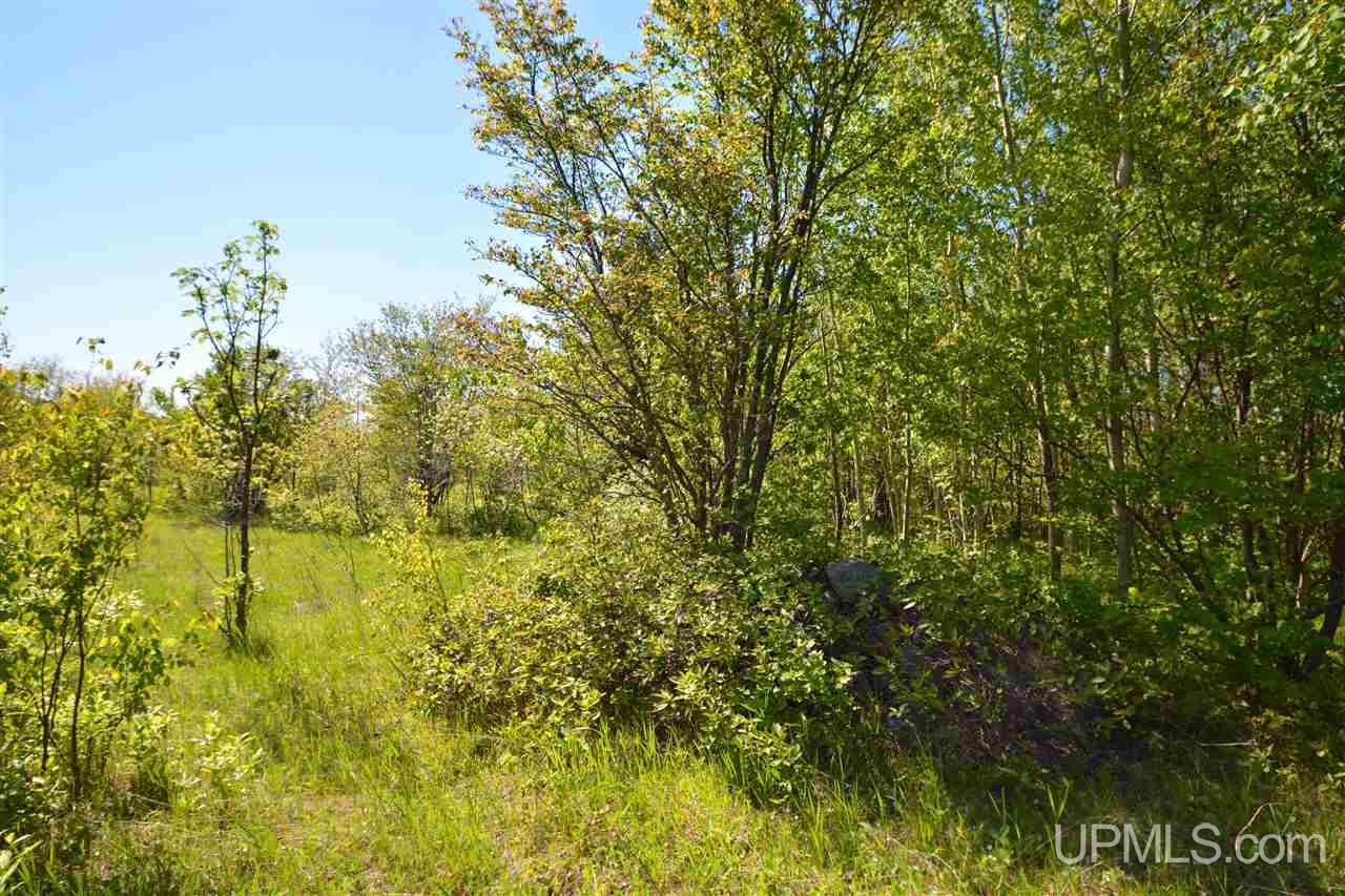 Tbd North Cloverland Road Calumet, MI 49913 - Photo 25 of 32 Gallery Image 25