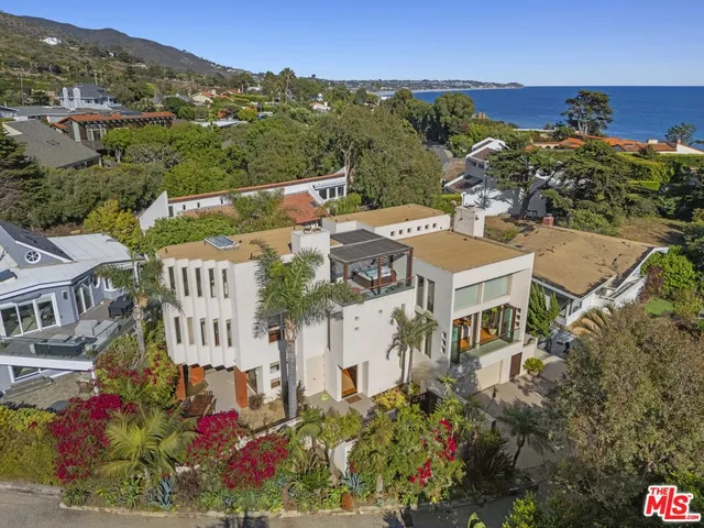 a view of a potted plant sitting in front of a building