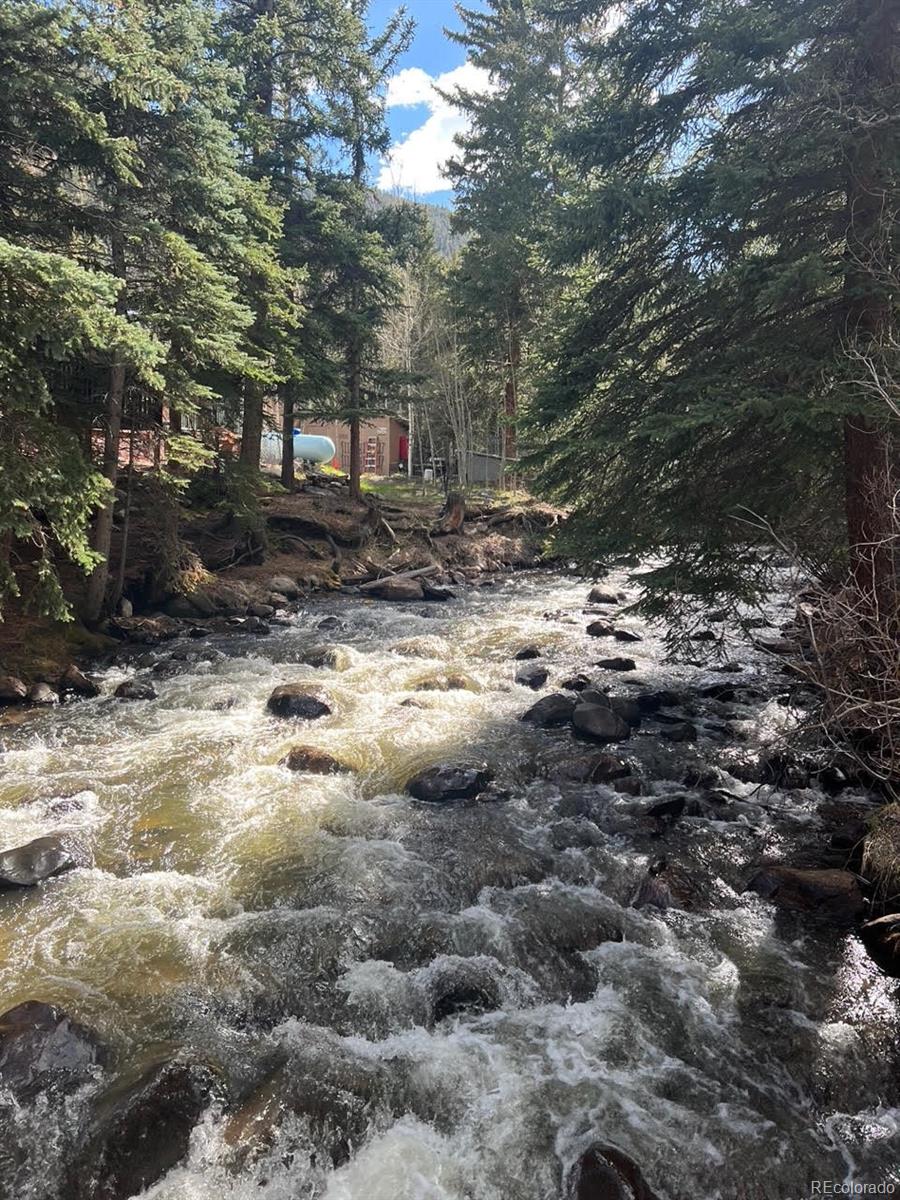 275 Junction Loop Road Empire, CO 80438 - Photo 11 of 18 a view of a yard with large trees