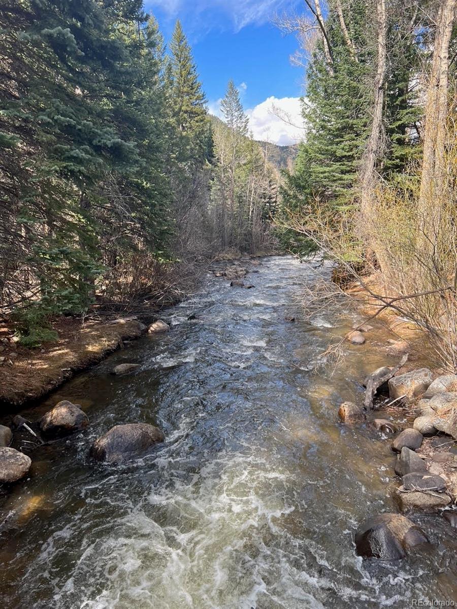 275 Junction Loop Road Empire, CO 80438 - Photo 16 of 18 a view of a yard with trees