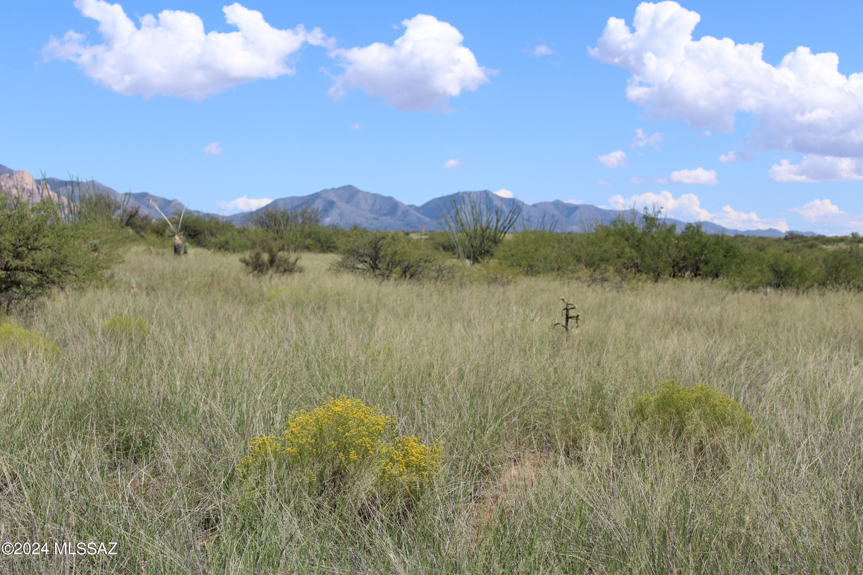 Tbd East Naiche Road, Unit 56 St. David, AZ 85630 - Photo 4 of 17