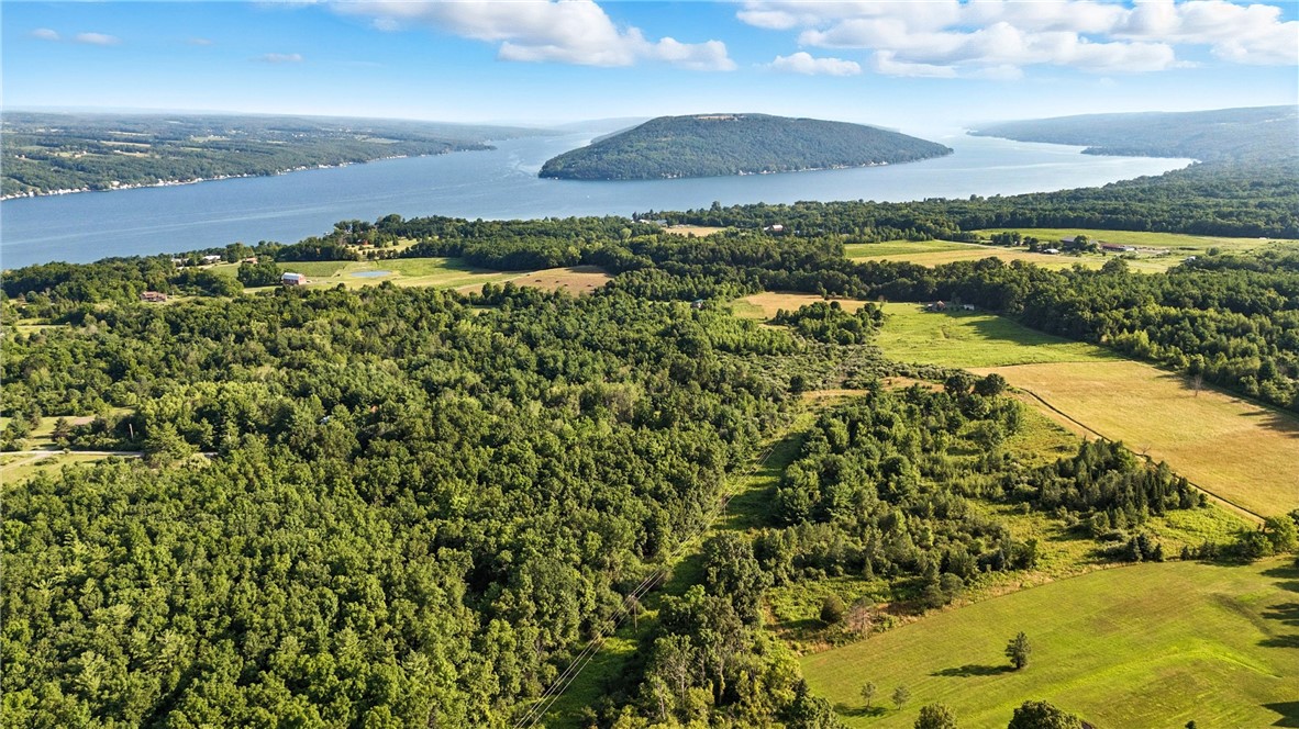 0 Silsbee Road Hammondsport, NY 14840 - Photo 4 of 10