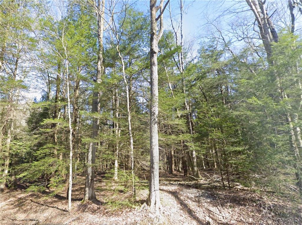 0 Stagers Road Summerhill, PA 15958 - Photo 6 of 14