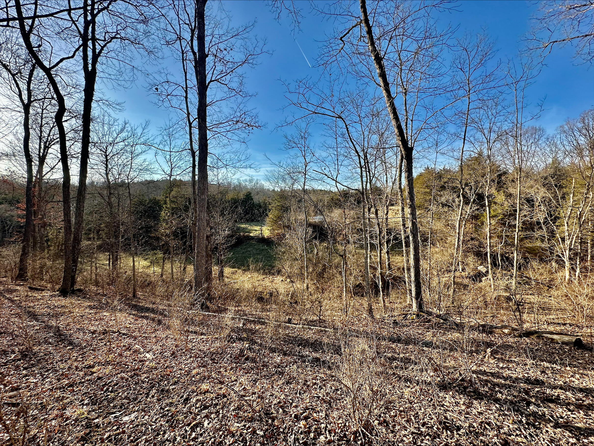 13489 Peach Grove Road California, KY 41007 - Photo 41 of 50 Gallery Image 41