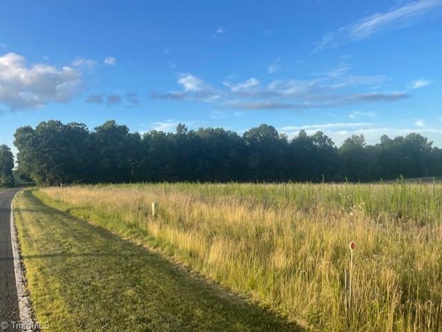 0 Amos Ridge Road, Unit AMOS RIDGE ROAD Sandy Ridge, NC 27046 - Photo 5 of 6