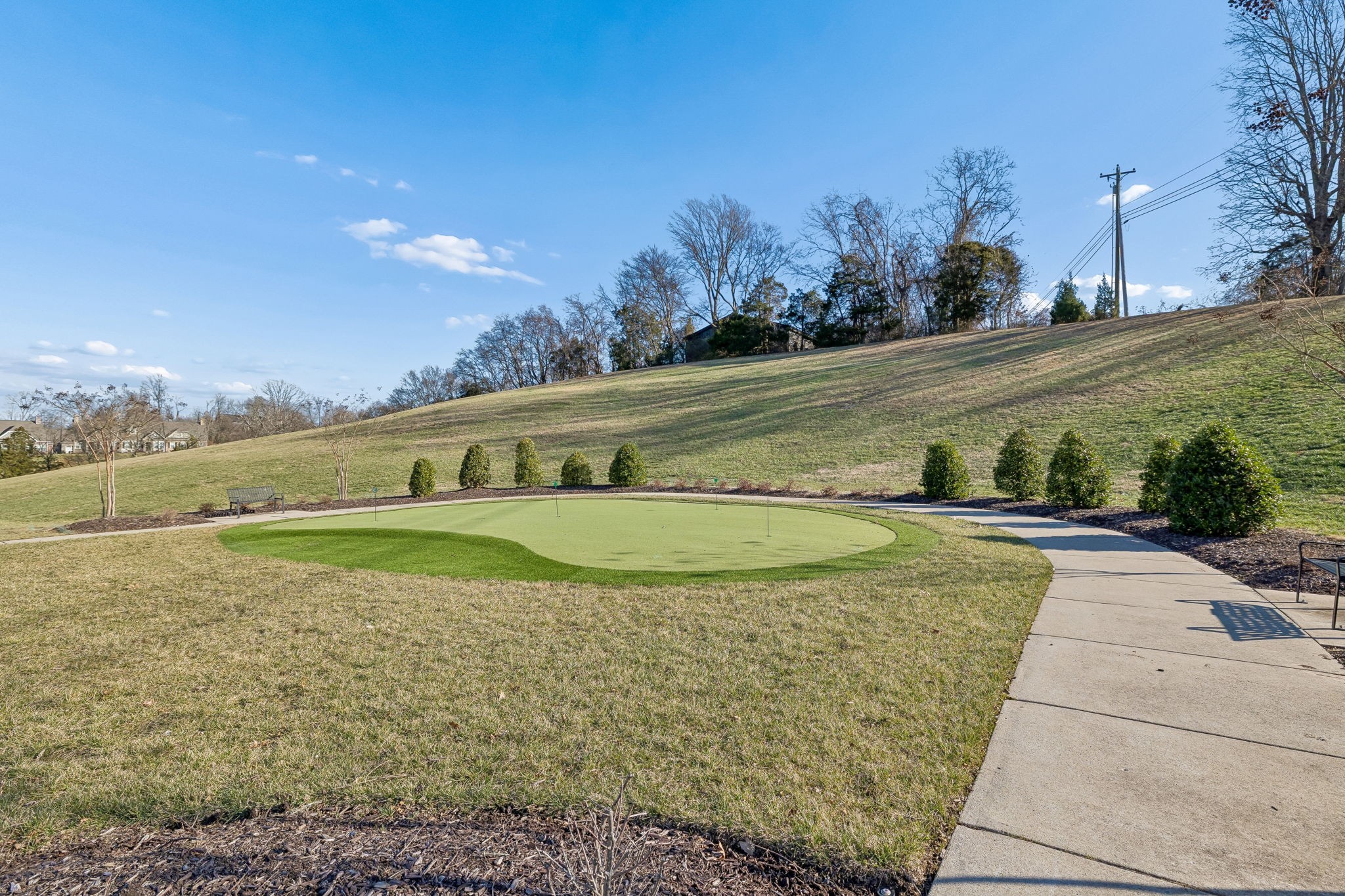 352 Buckner Cir Mount Mount Juliet, TN 37122 - Photo 49 of 51 a view of a grassy area