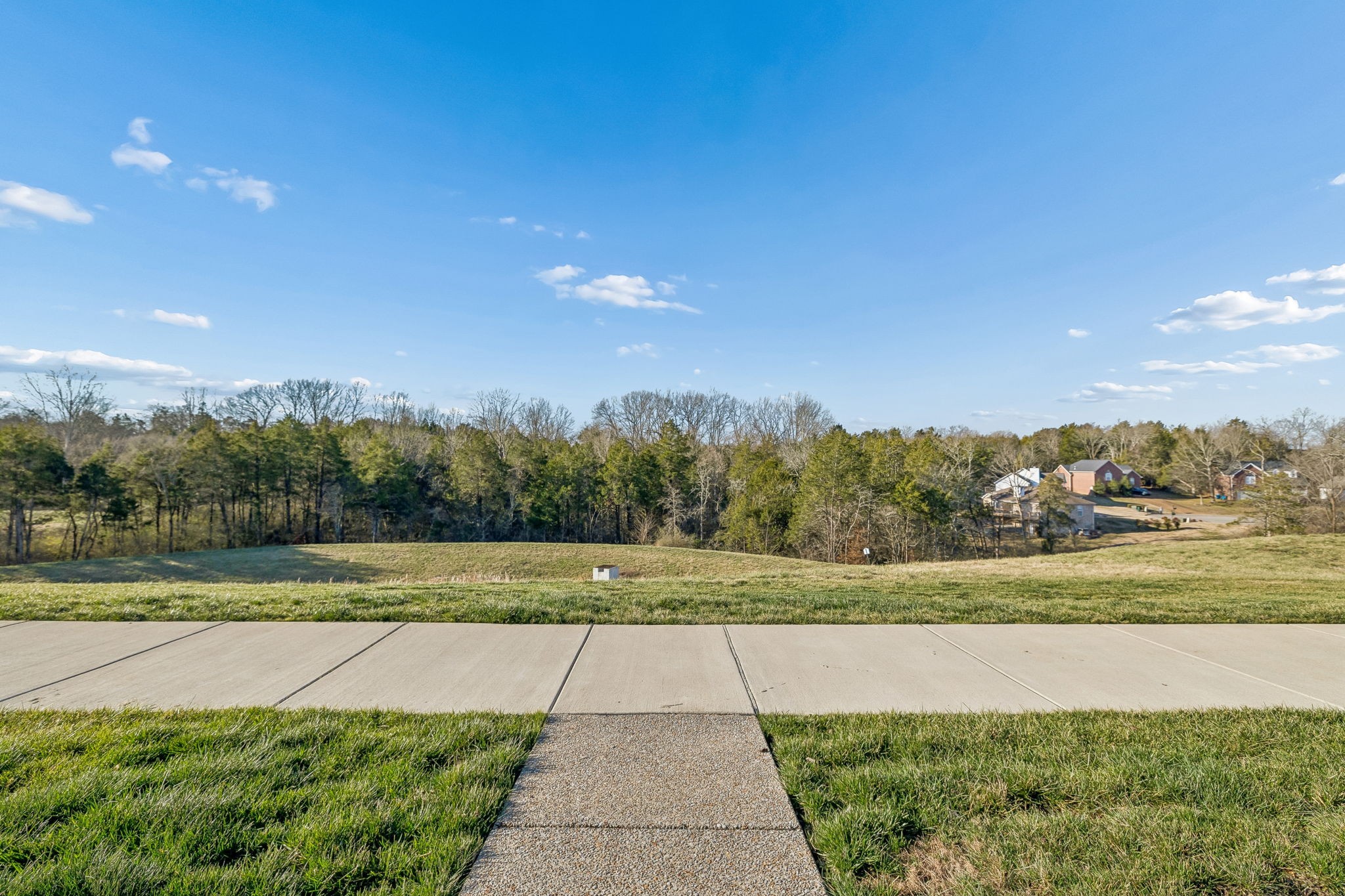 352 Buckner Cir Mount Mount Juliet, TN 37122 - Photo 5 of 51 a view of a yard