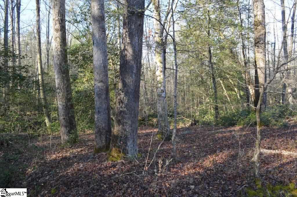 Oconee Creek Road Walhalla, SC 29691 - Photo 2 of 21 Gallery Image 2