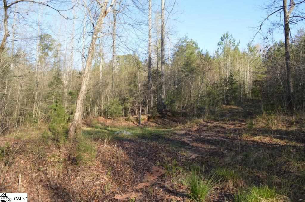 Oconee Creek Road Walhalla, SC 29691 - Photo 11 of 21 Gallery Image 11