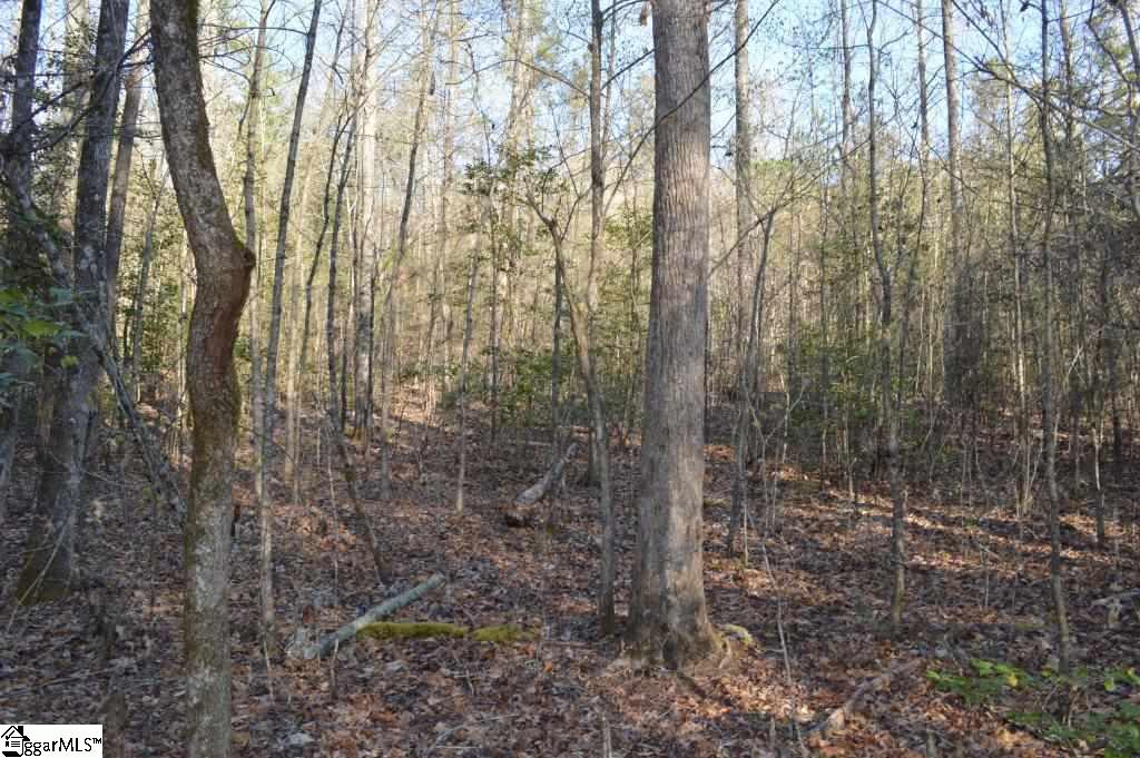 Oconee Creek Road Walhalla, SC 29691 - Photo 12 of 21 Gallery Image 12
