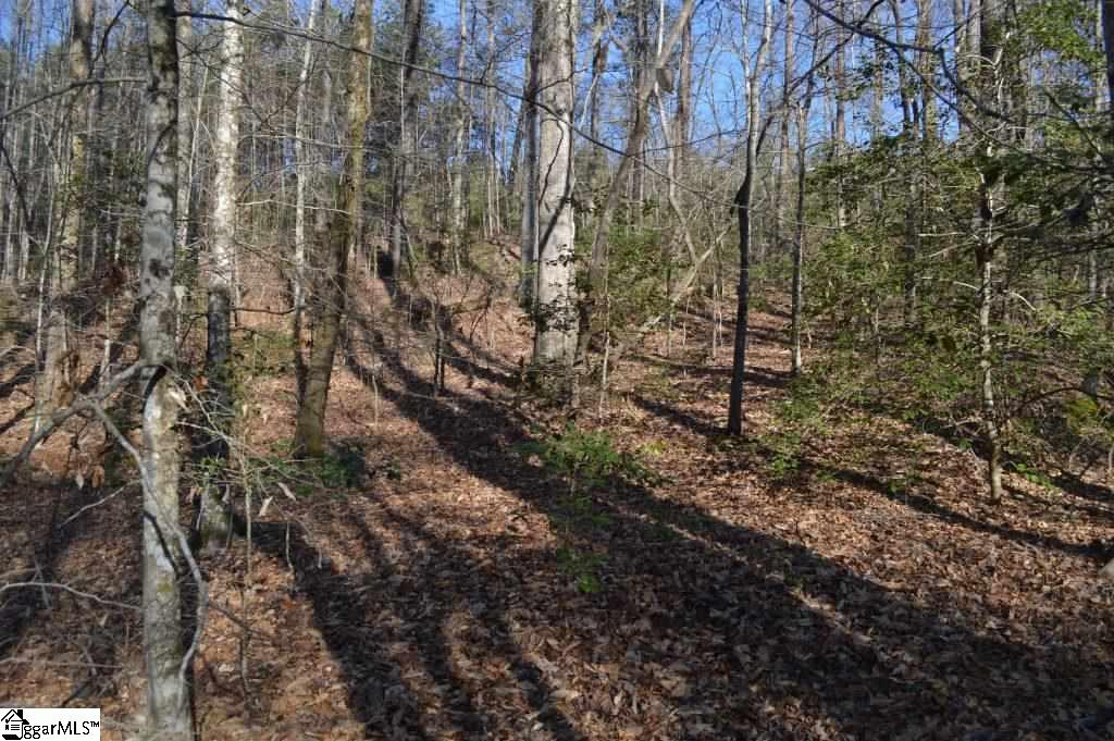 Oconee Creek Road Walhalla, SC 29691 - Photo 14 of 21 Gallery Image 14