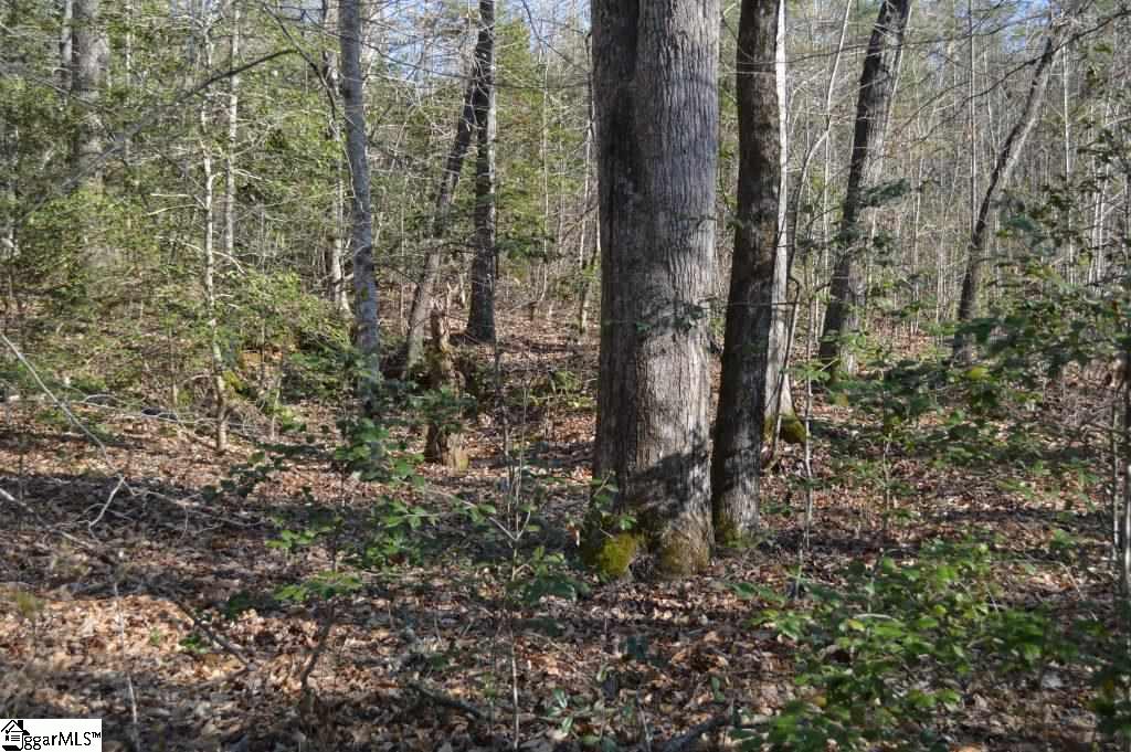 Oconee Creek Road Walhalla, SC 29691 - Photo 4 of 21 Gallery Image 4
