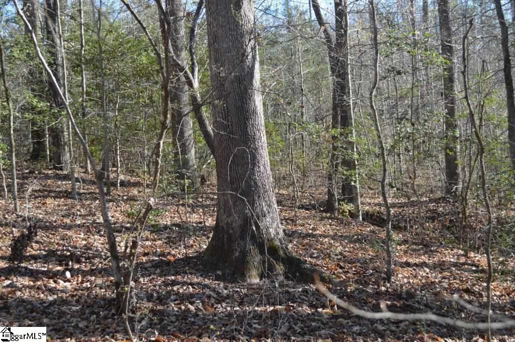 Oconee Creek Road Walhalla, SC 29691 - Photo 7 of 21 Gallery Image 7