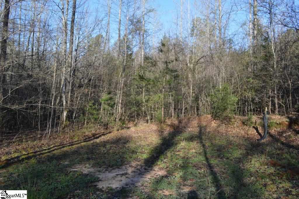 Oconee Creek Road Walhalla, SC 29691 - Photo 9 of 21 Gallery Image 9