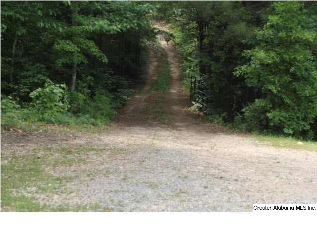 290 County Road 607 Clanton, AL 35046 - Photo 22 of 22