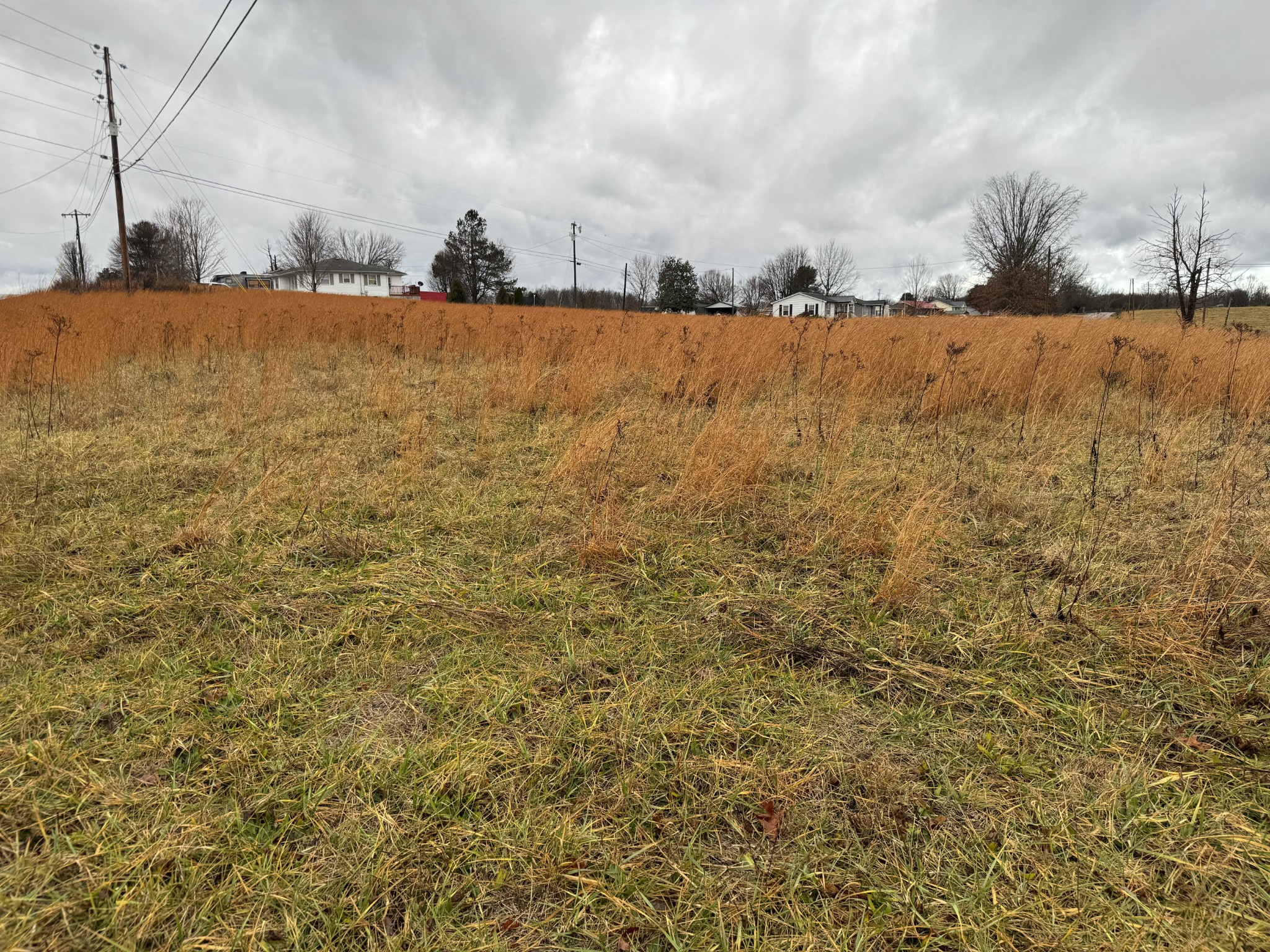 0 New Home Road Smithville, TN 37166 - Photo 13 of 14 Gallery Image 13