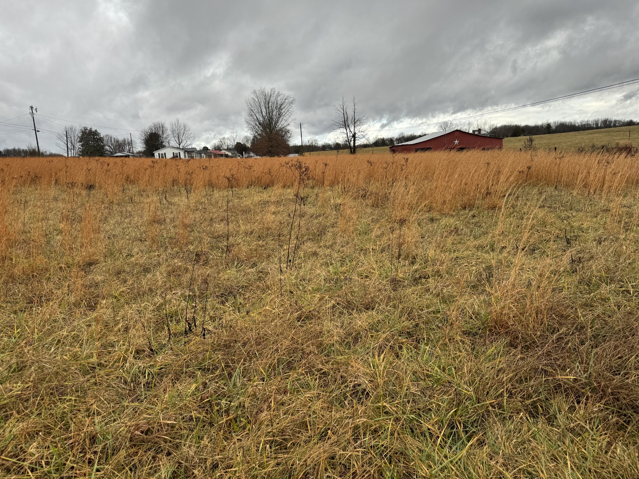 0 New Home Road Smithville, TN 37166 - Photo 14 of 14 Gallery Image 14