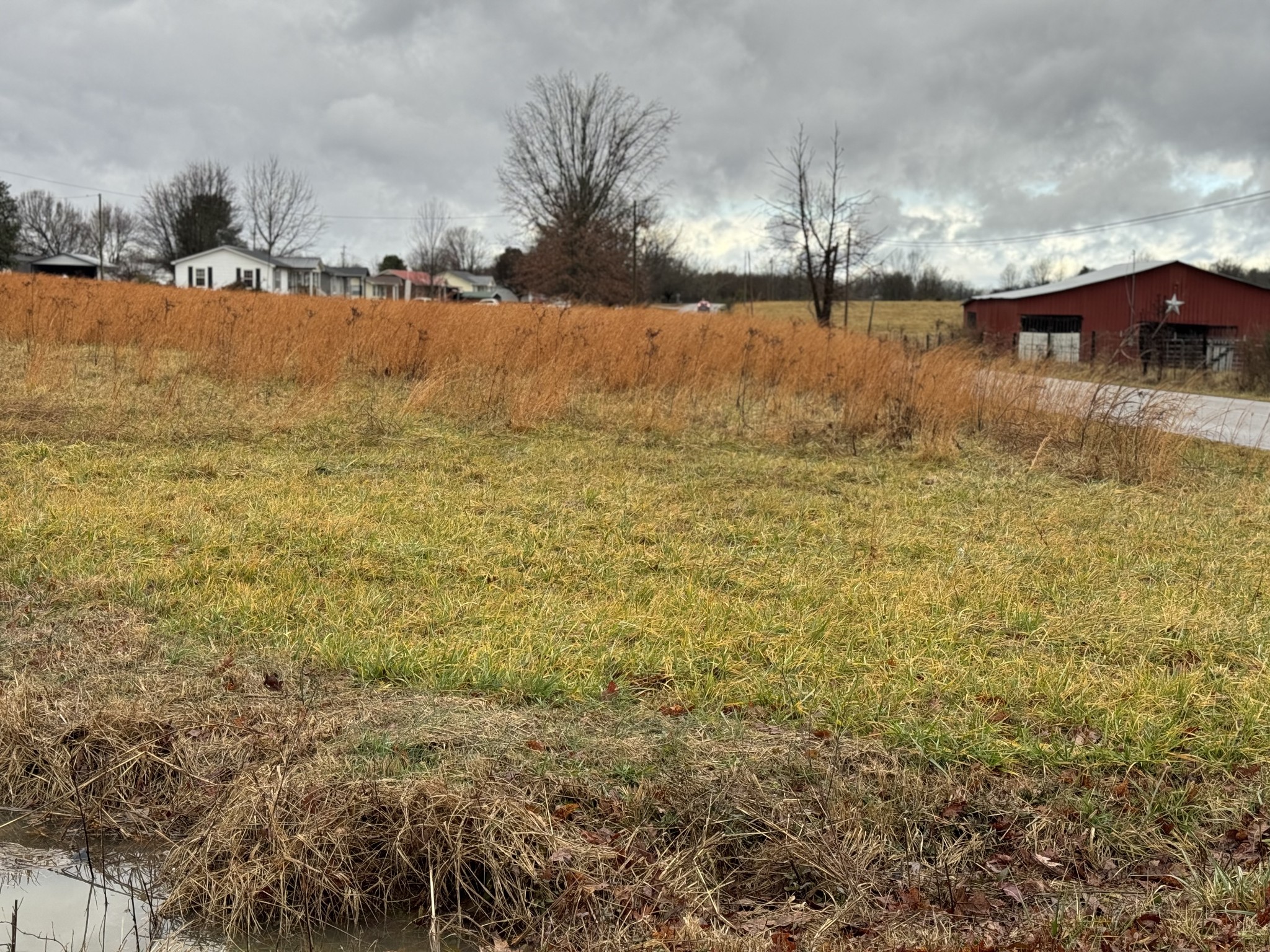 0 New Home Road Smithville, TN 37166 - Photo 4 of 14 Gallery Image 4