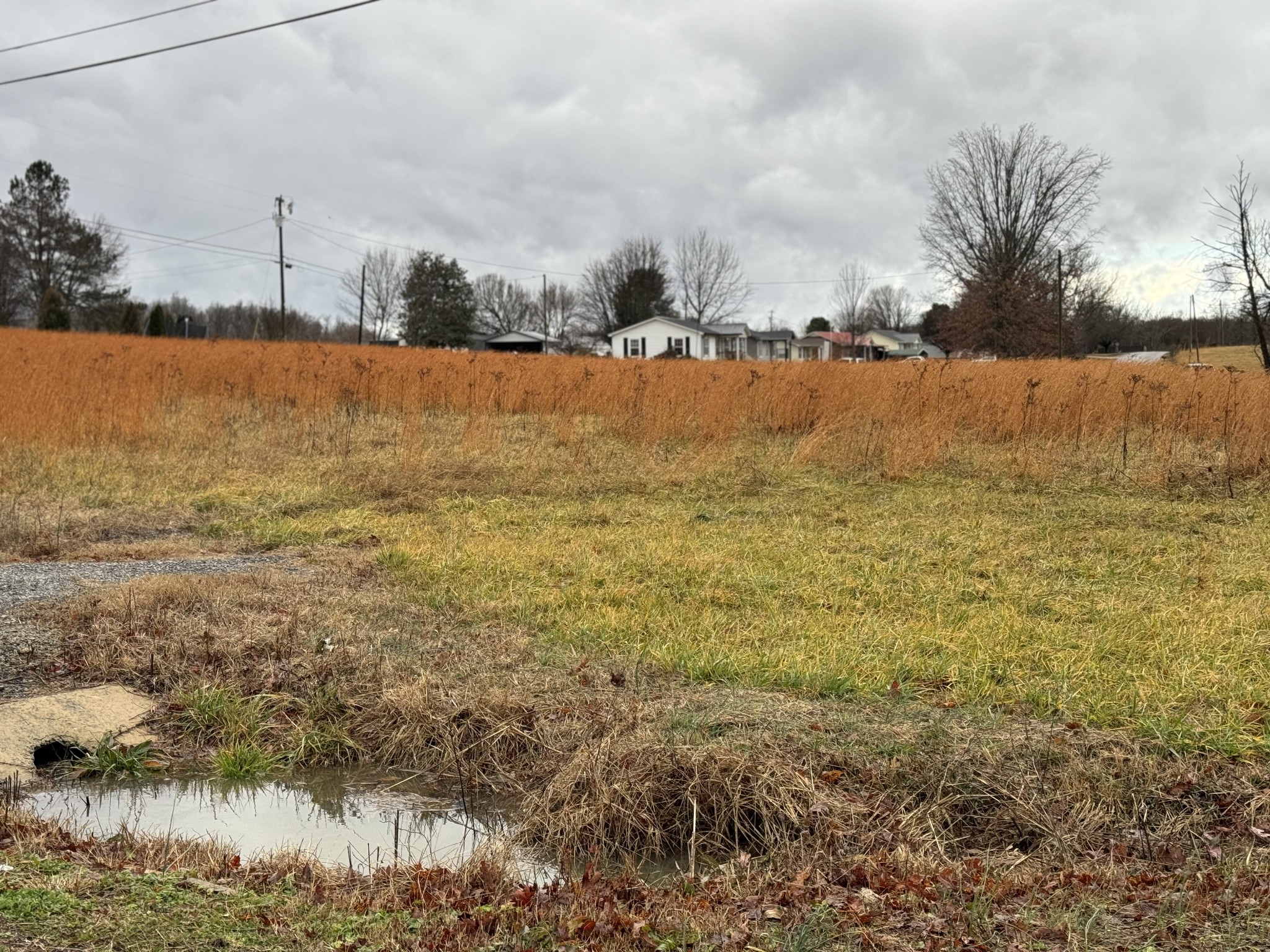 0 New Home Road Smithville, TN 37166 - Photo 8 of 14 Gallery Image 8