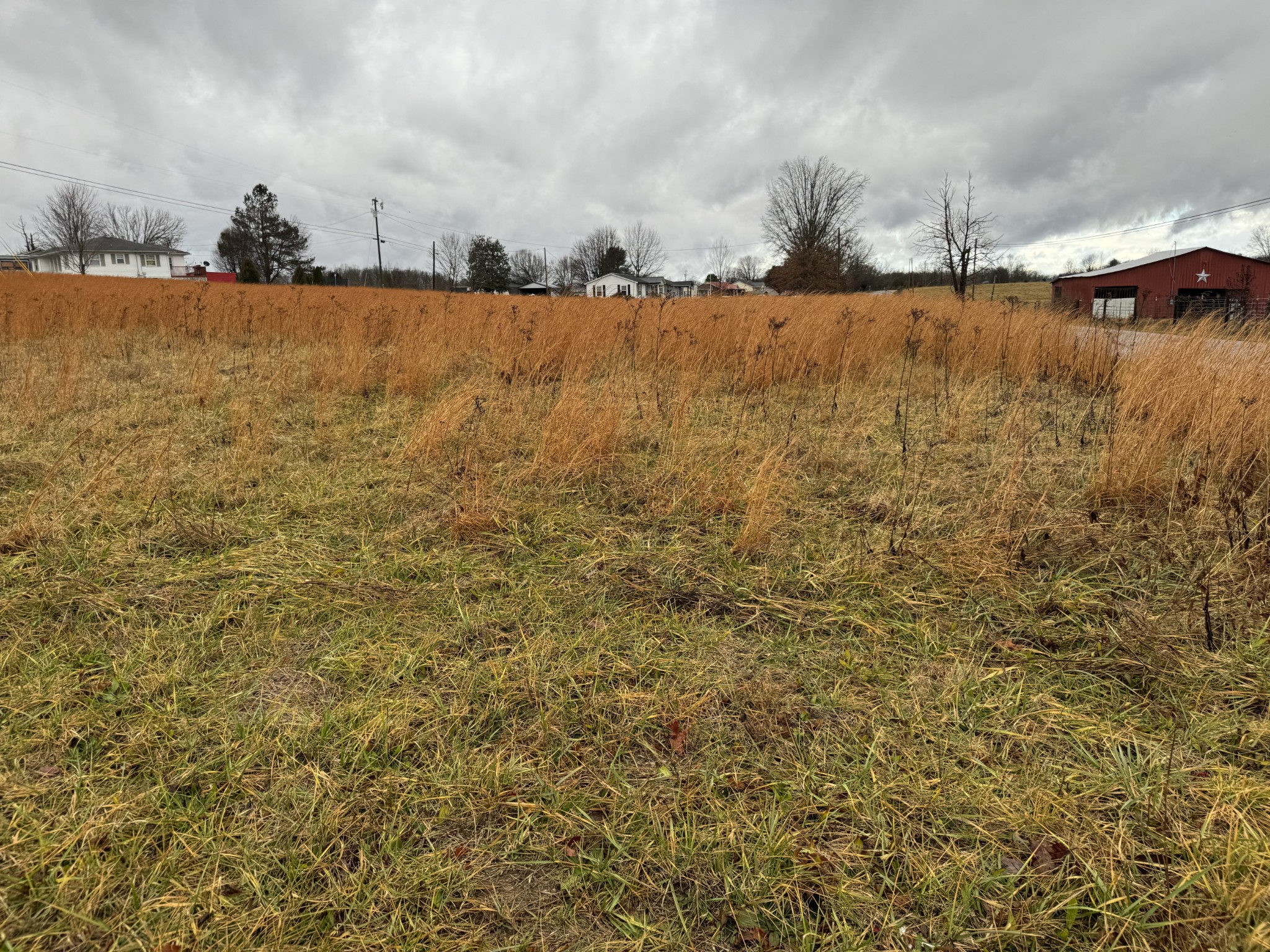 0 New Home Road Smithville, TN 37166 - Photo 10 of 14 Gallery Image 10