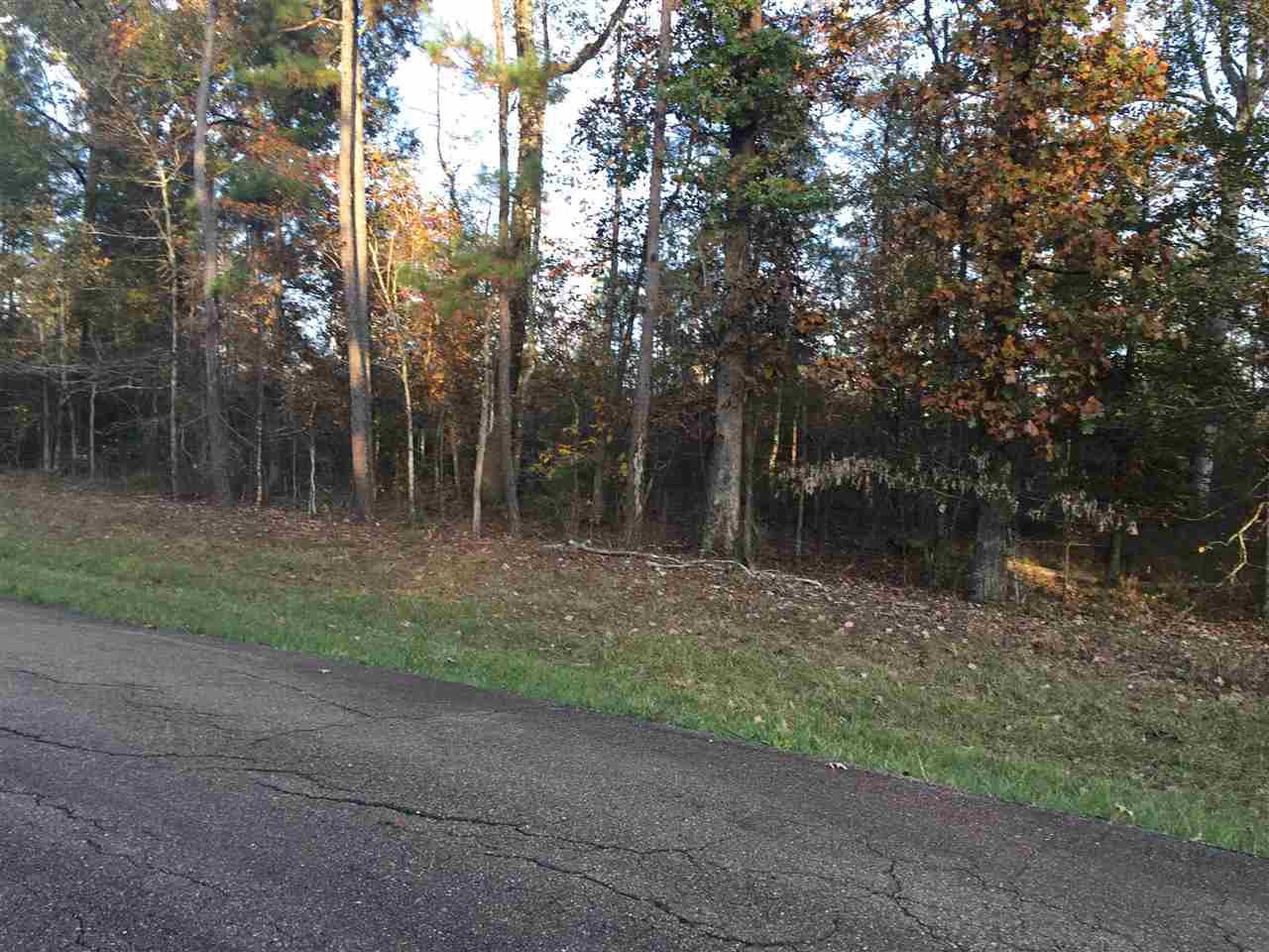 2 West Moore Tower Road, Unit TRACT 2 Forest, MS 39074 - Photo 1 of 1 Photo 1