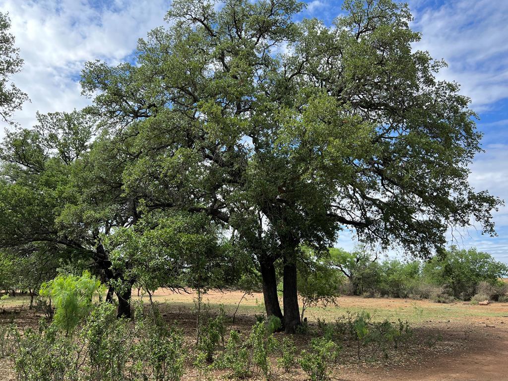 Na Na Katemcy Road Brady, TX 76825 - Photo 2 of 6 Gallery Image 2