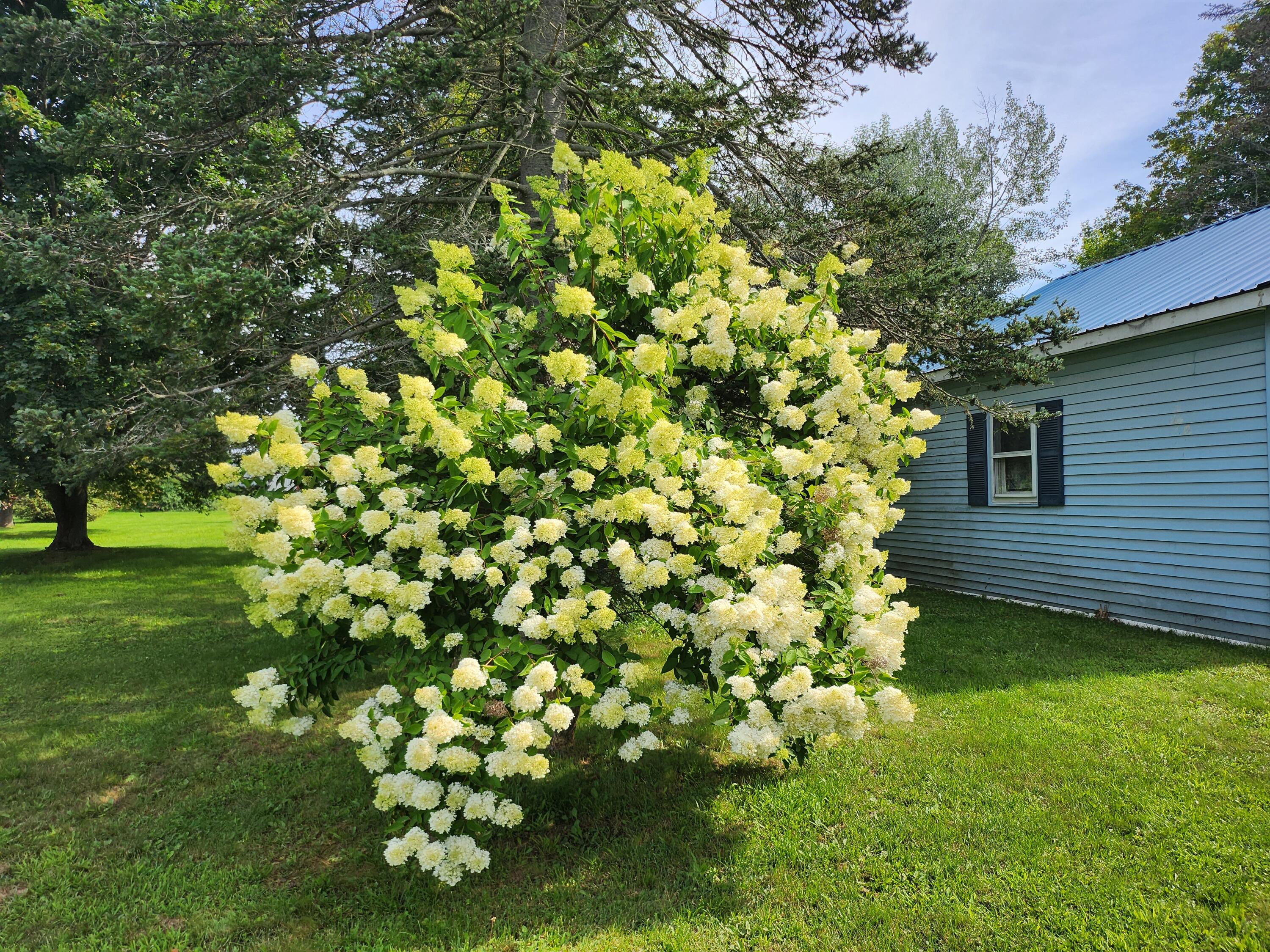 154 Dexter Road Corinna, ME 04928 - Photo 28 of 32 20230807_095224