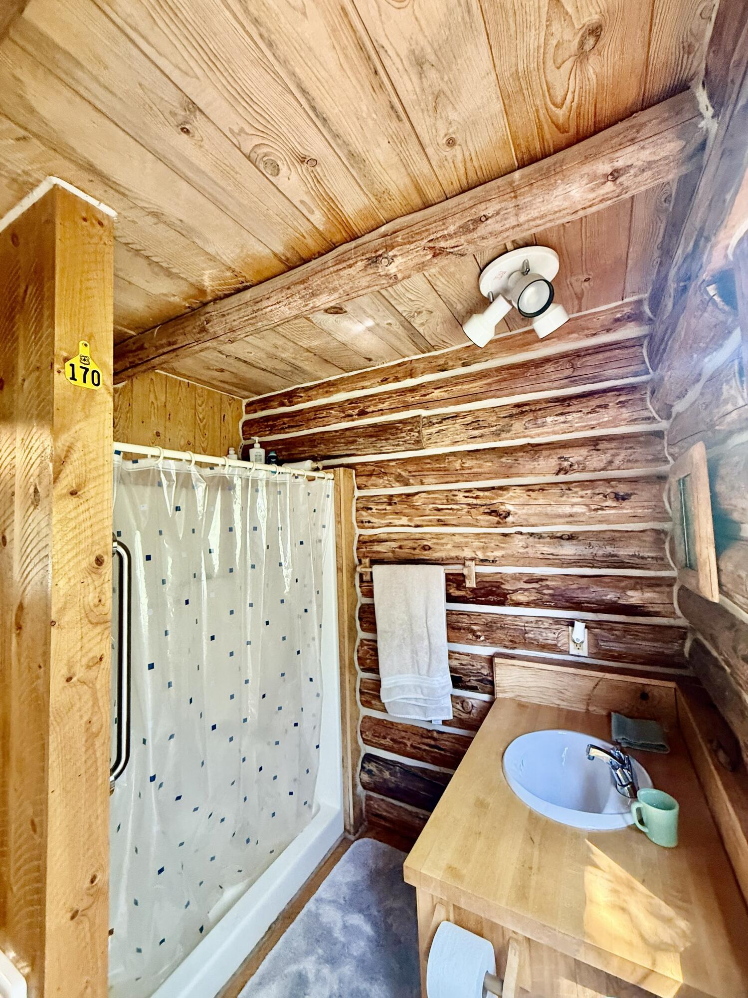 4299 North Fork Road Mackay, ID 83251 - Photo 21 of 27 Shower