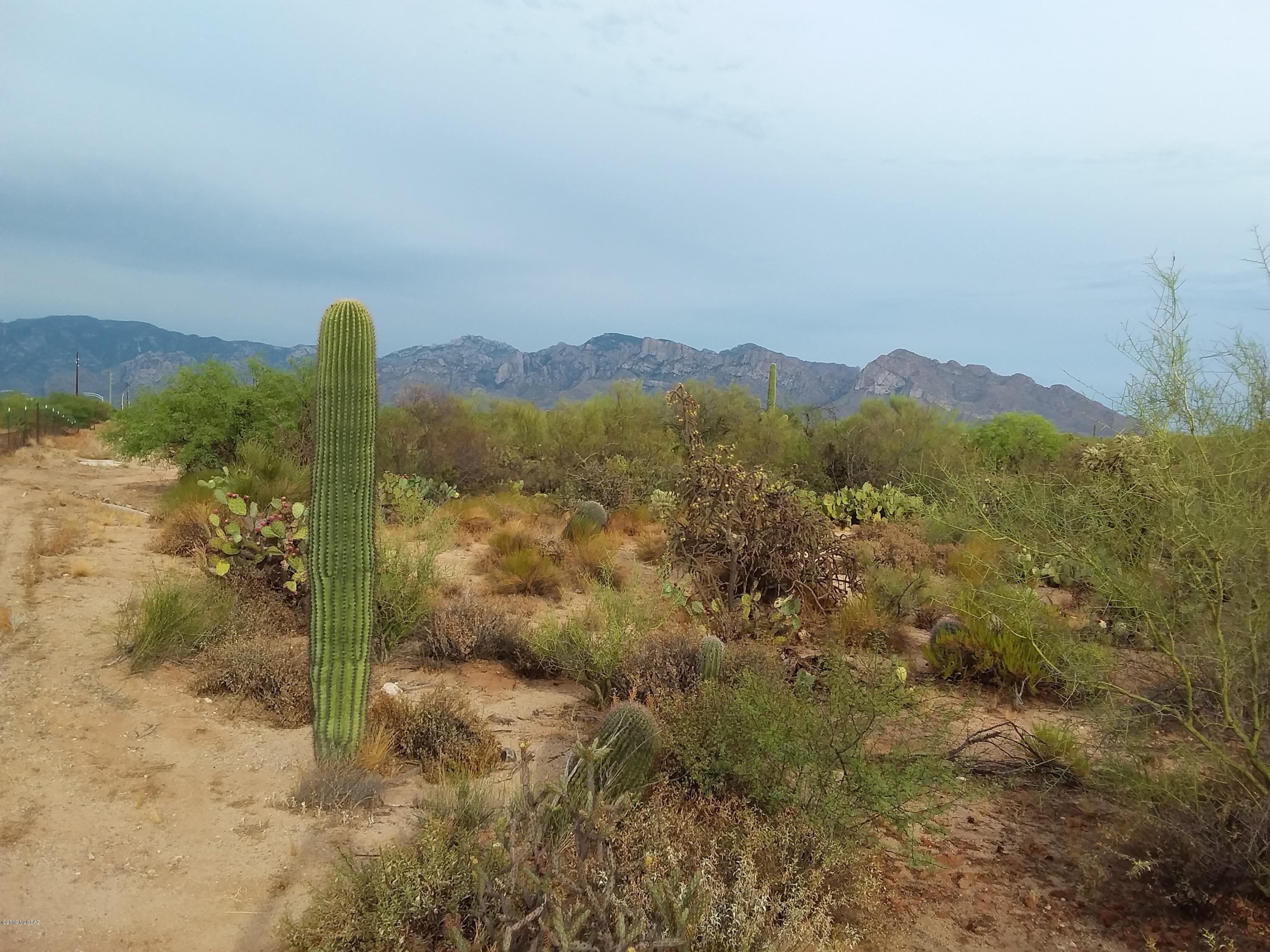 2315 West Tangerine Road Tucson, AZ 85742 - Photo 26 of 27